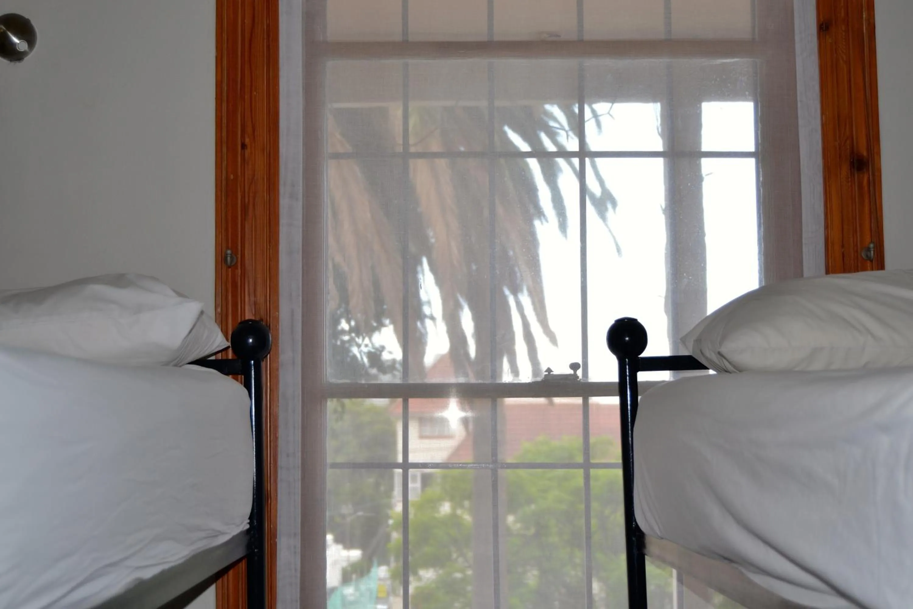 View (from property/room), Bed in Ashanti Lodge Backpackers