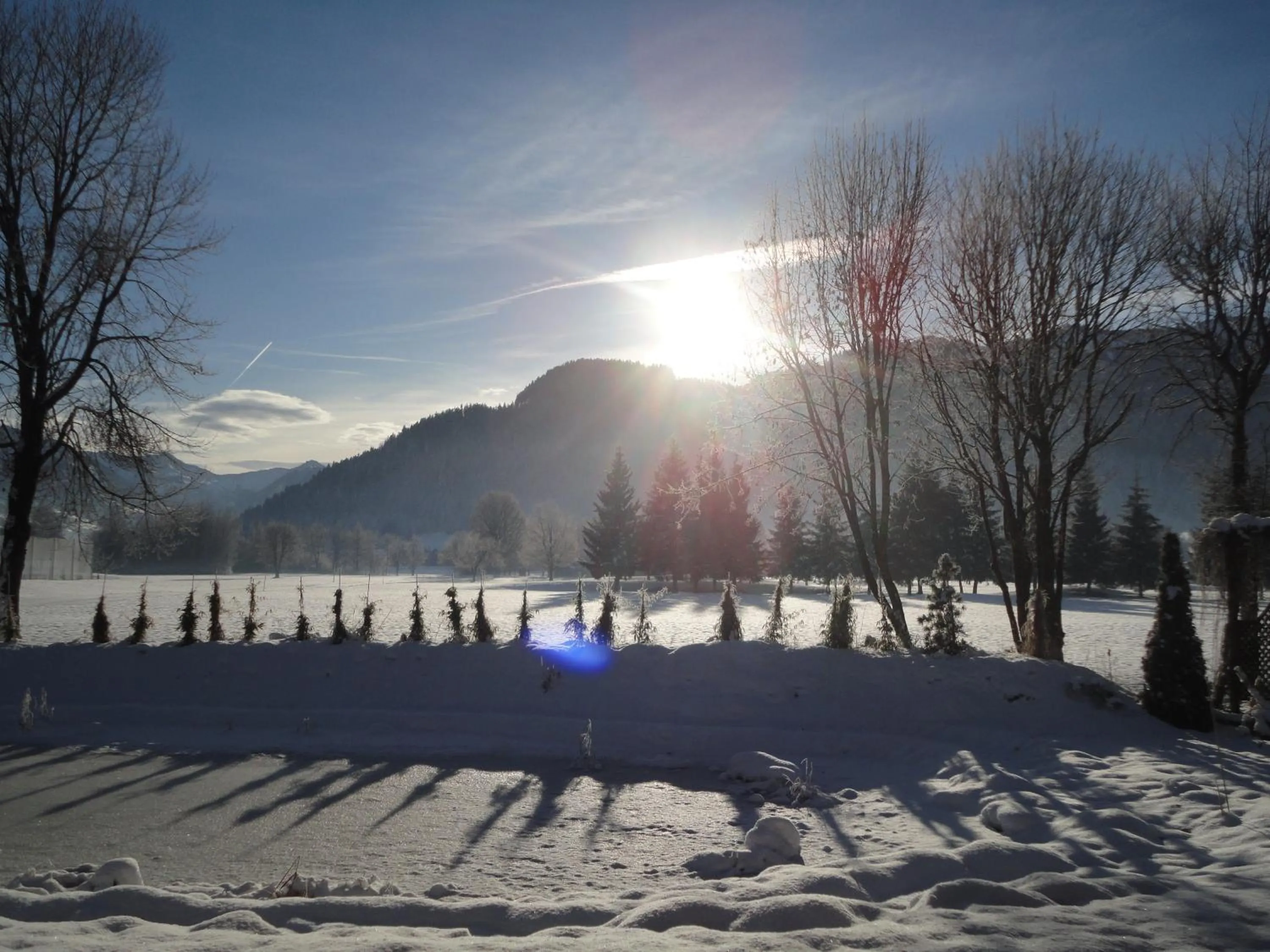 Area and facilities in Pension Rainhof