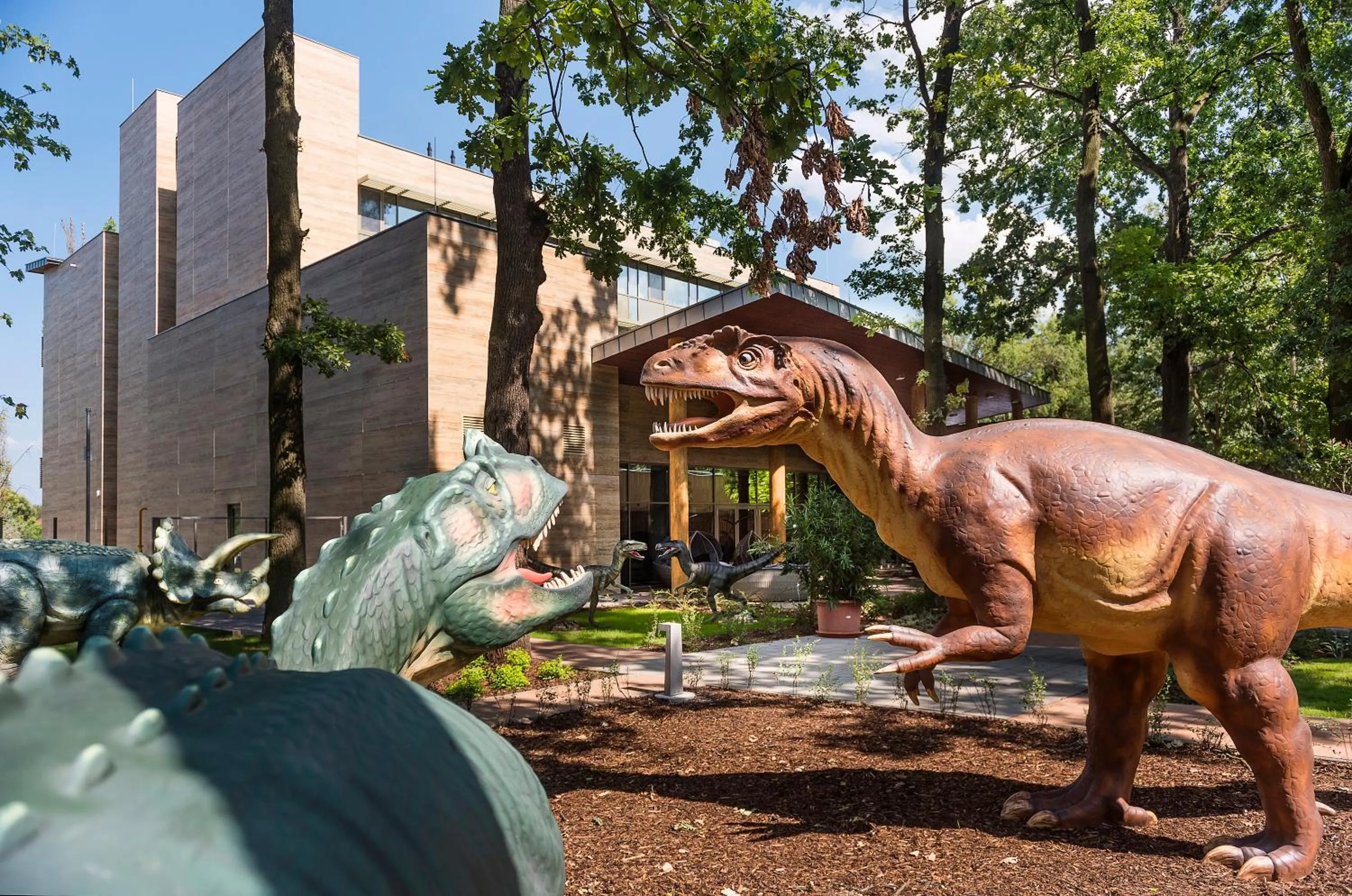 Garden in Pangea Hotel