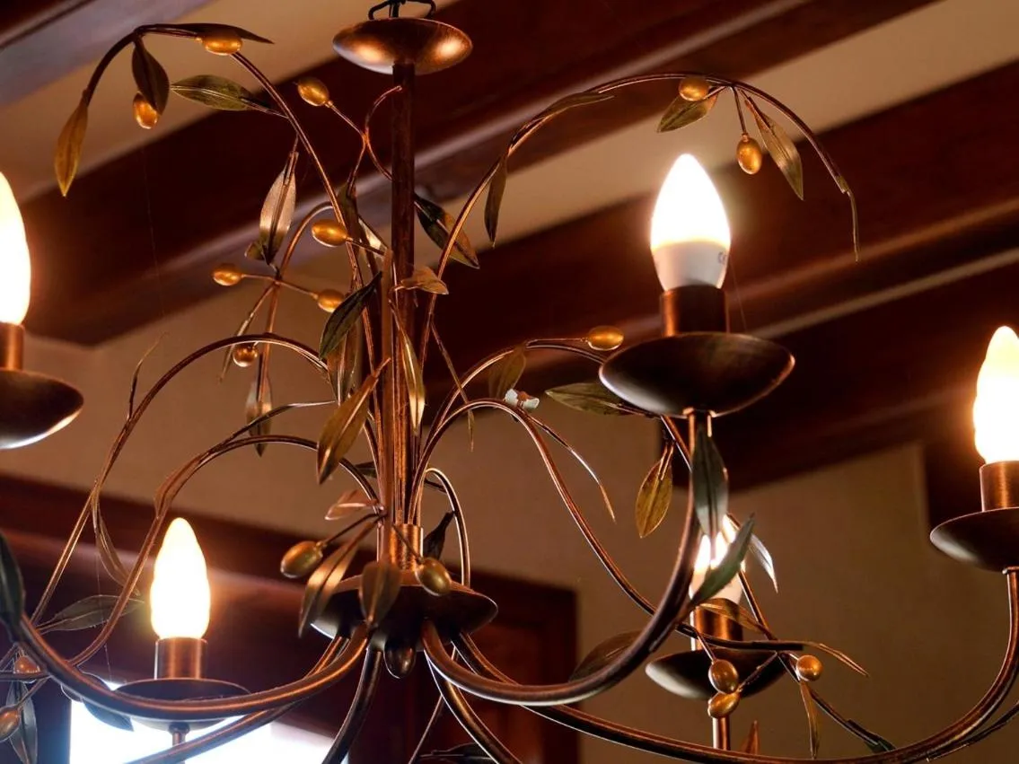 Other in La Maison d'hotes de Toucy