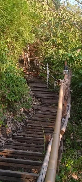 Day in Sea Star House