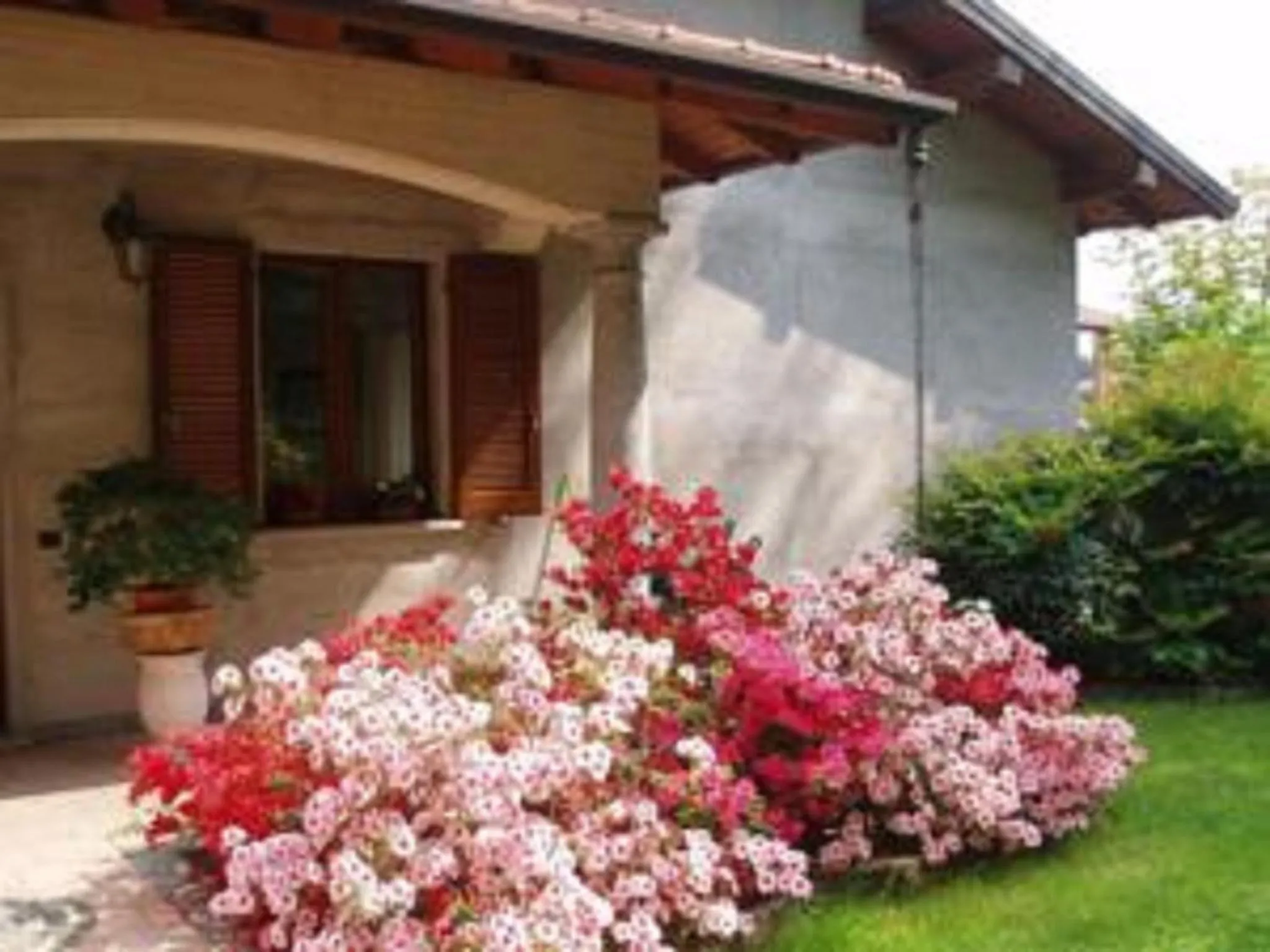 Alla Camelia B&B