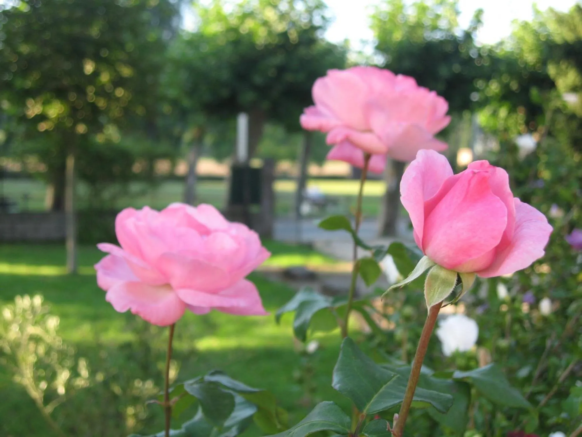 Facade/entrance in Chambres La Vallée