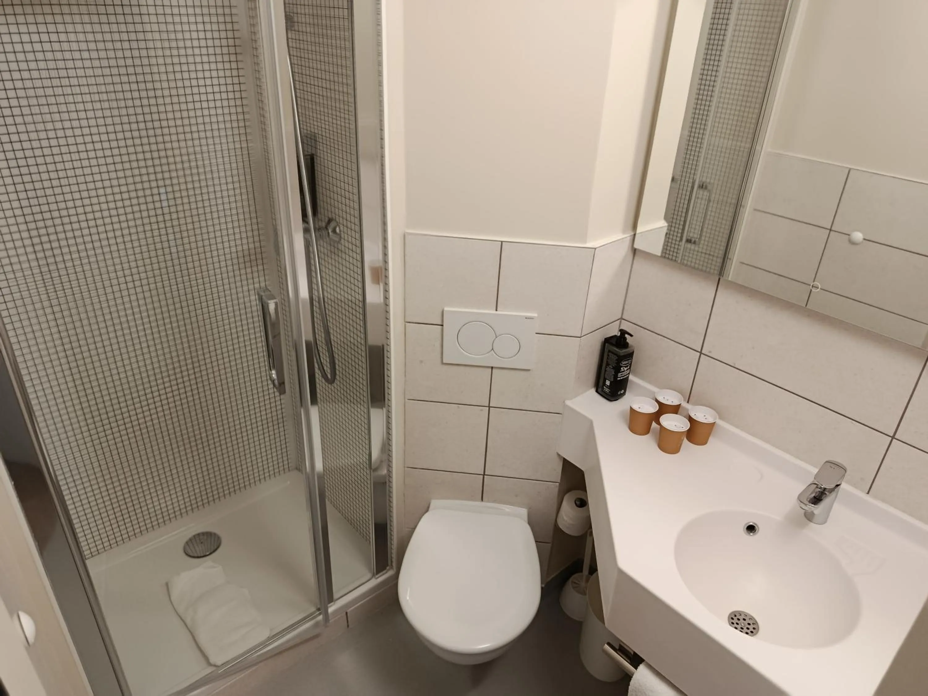 Toilet in ibis budget Metz Sud