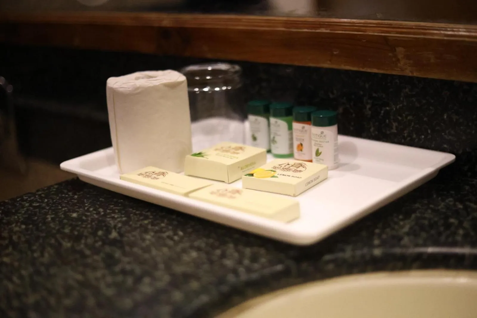 Bathroom in Hotel Willow Banks Shimla