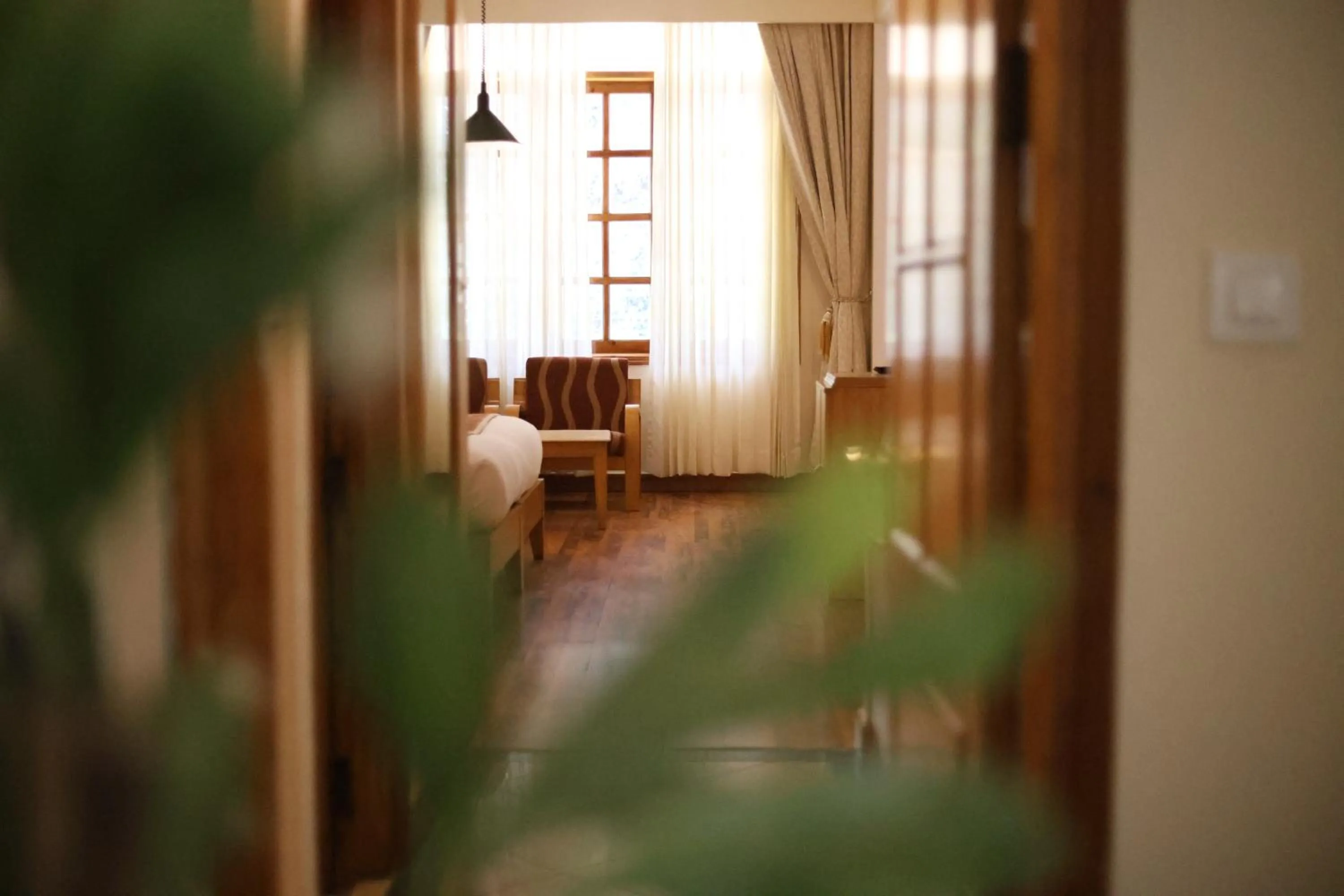 Photo of the whole room, Bed in Hotel Willow Banks Shimla