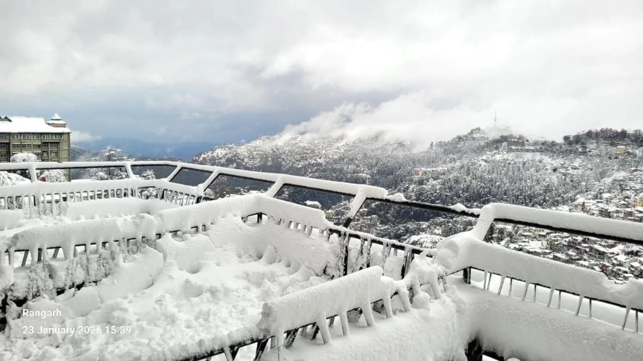 Hotel Willow Banks Shimla