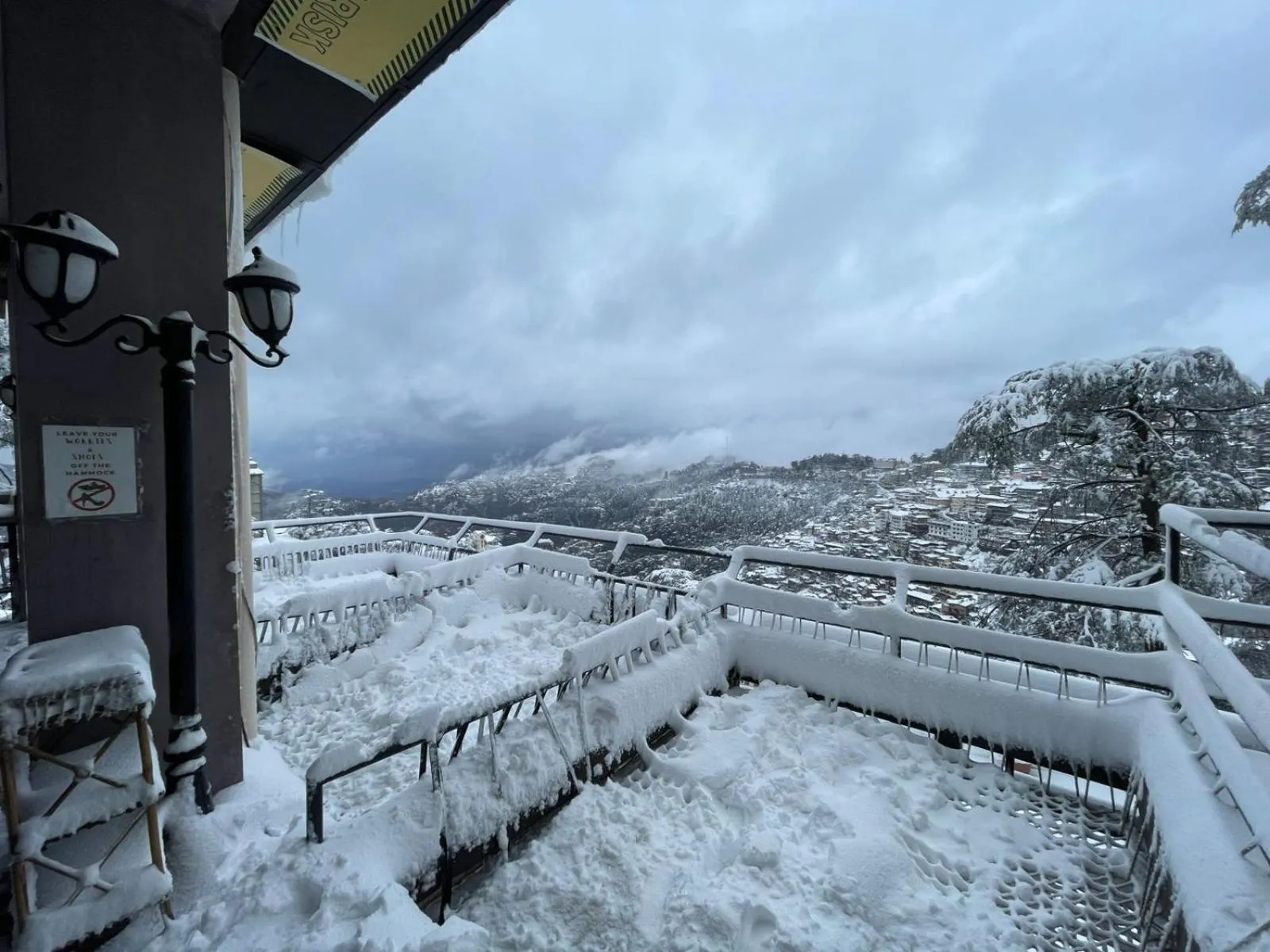 Hotel Willow Banks Shimla