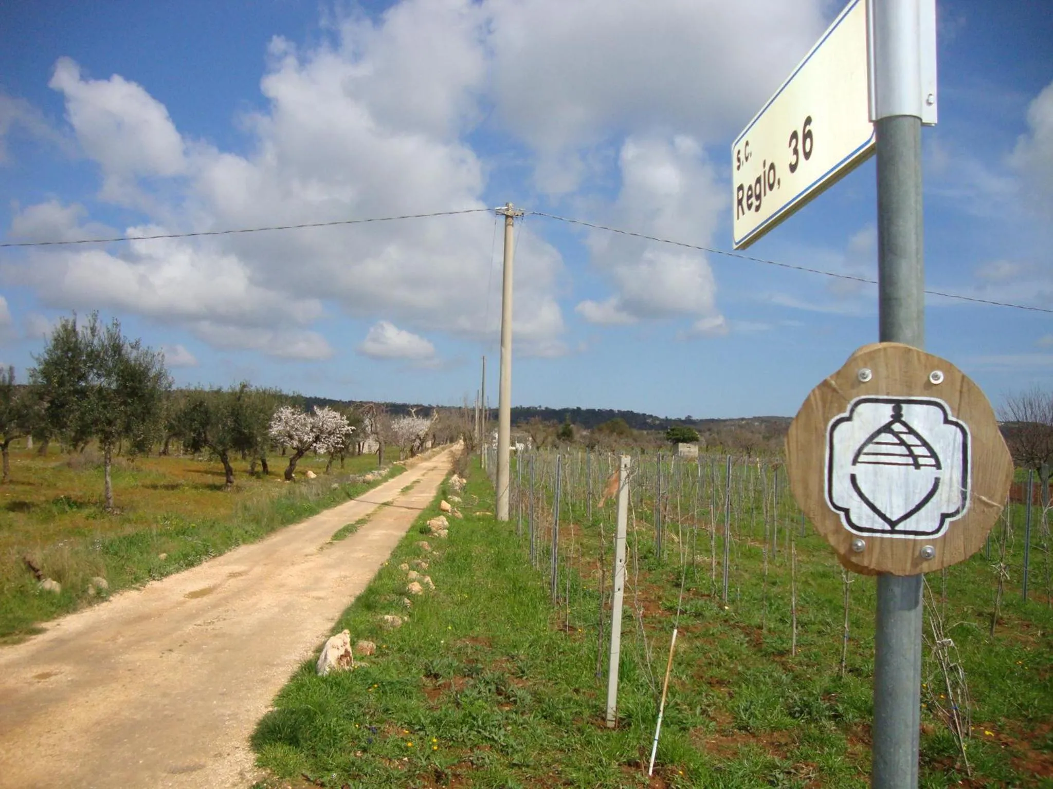 Area and facilities in Fontana Vecchia B&B