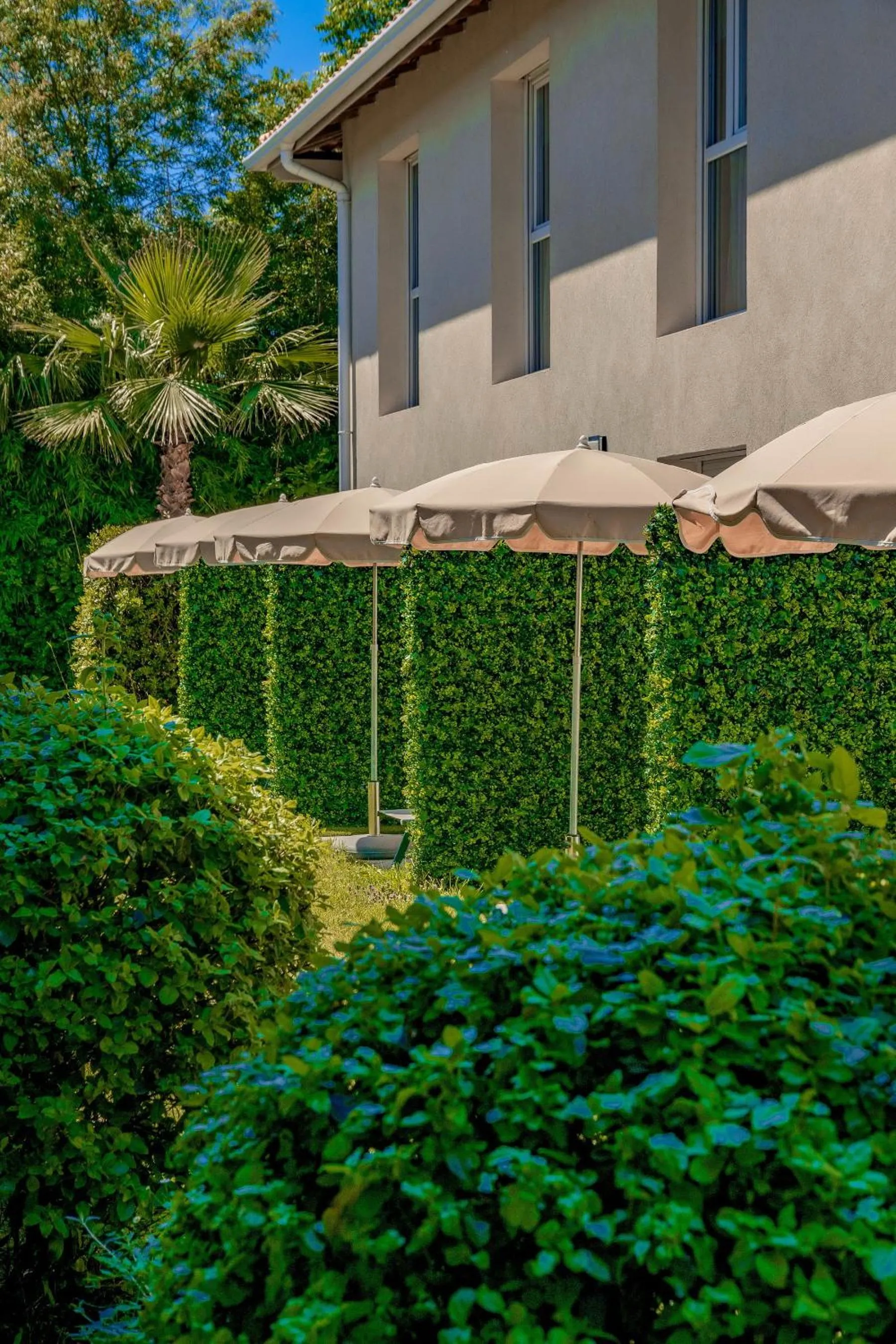 Garden in Hôtel Villa Sophia - ADULTS ONLY JULY AND AUGUST