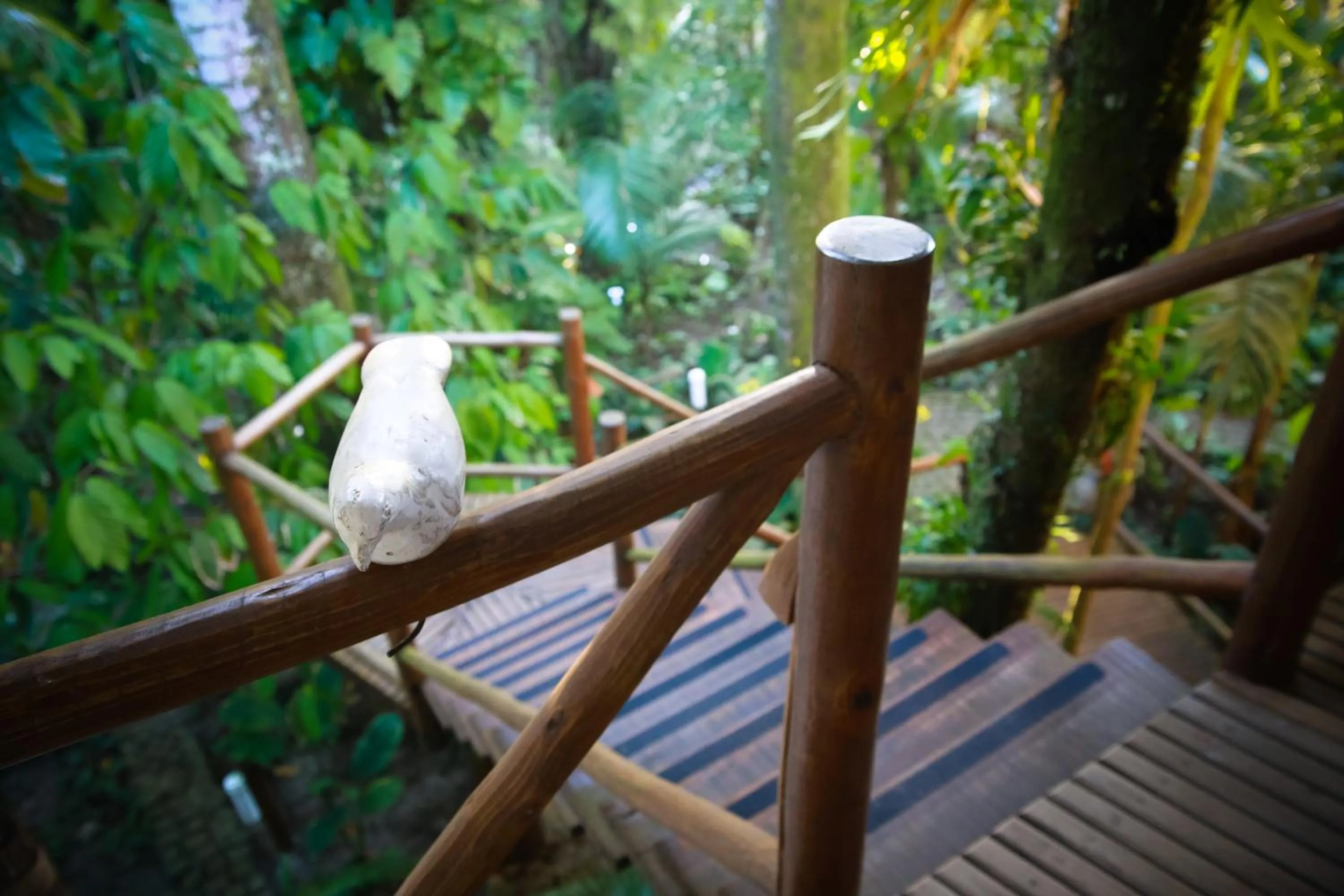 View (from property/room) in Pousada Burundanga