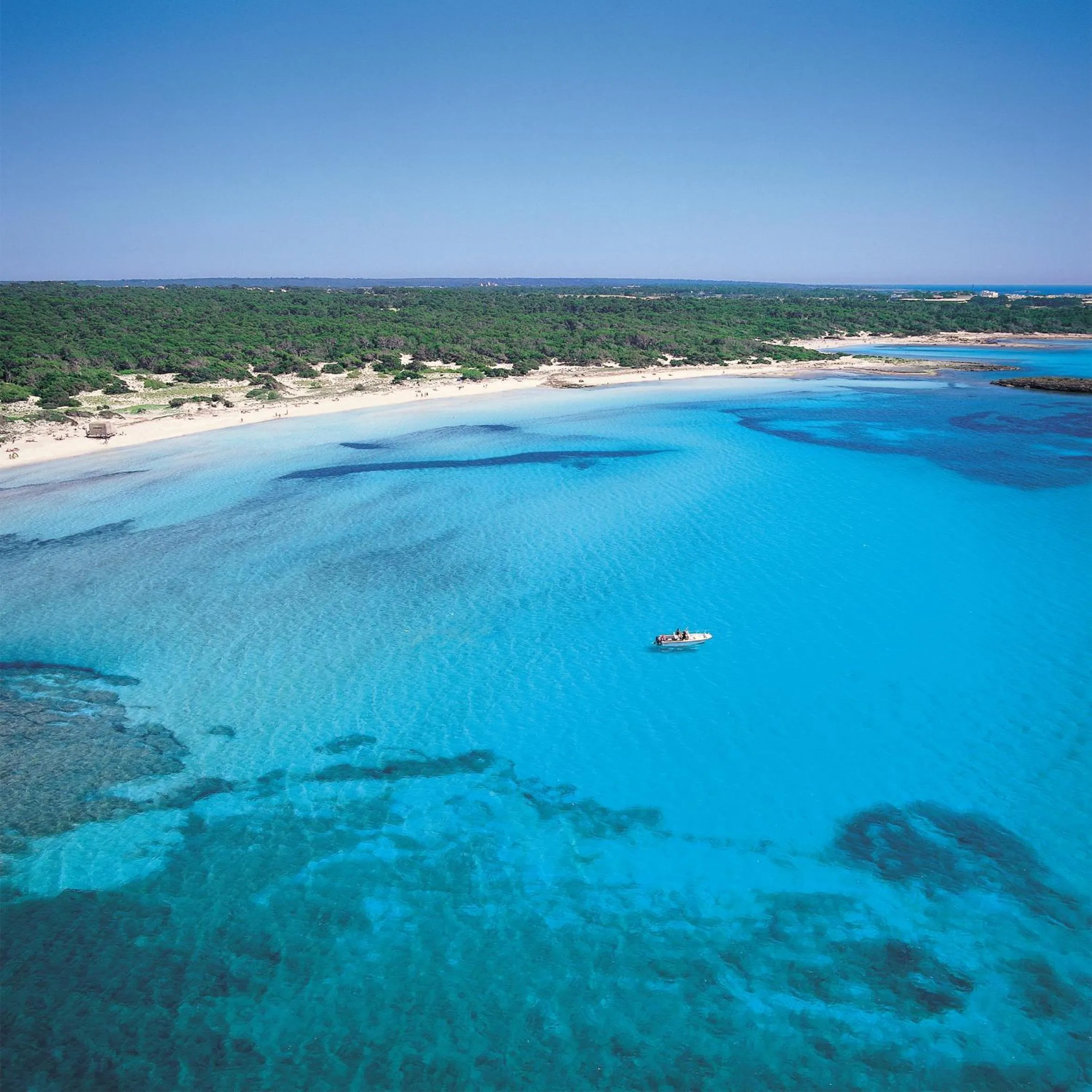 Area and facilities in Universal Casa Marquesa