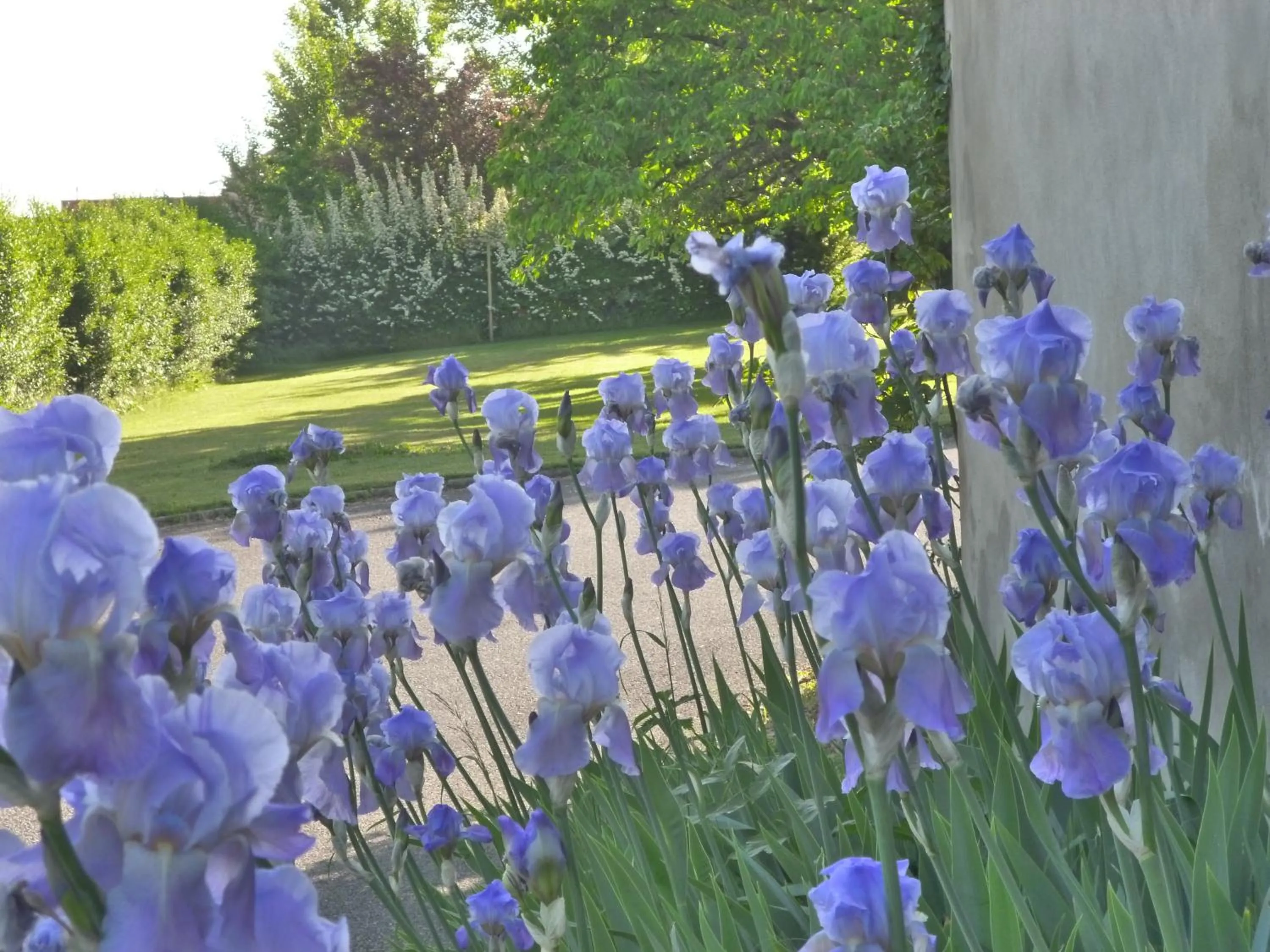 Day in Hôtel Vulcain