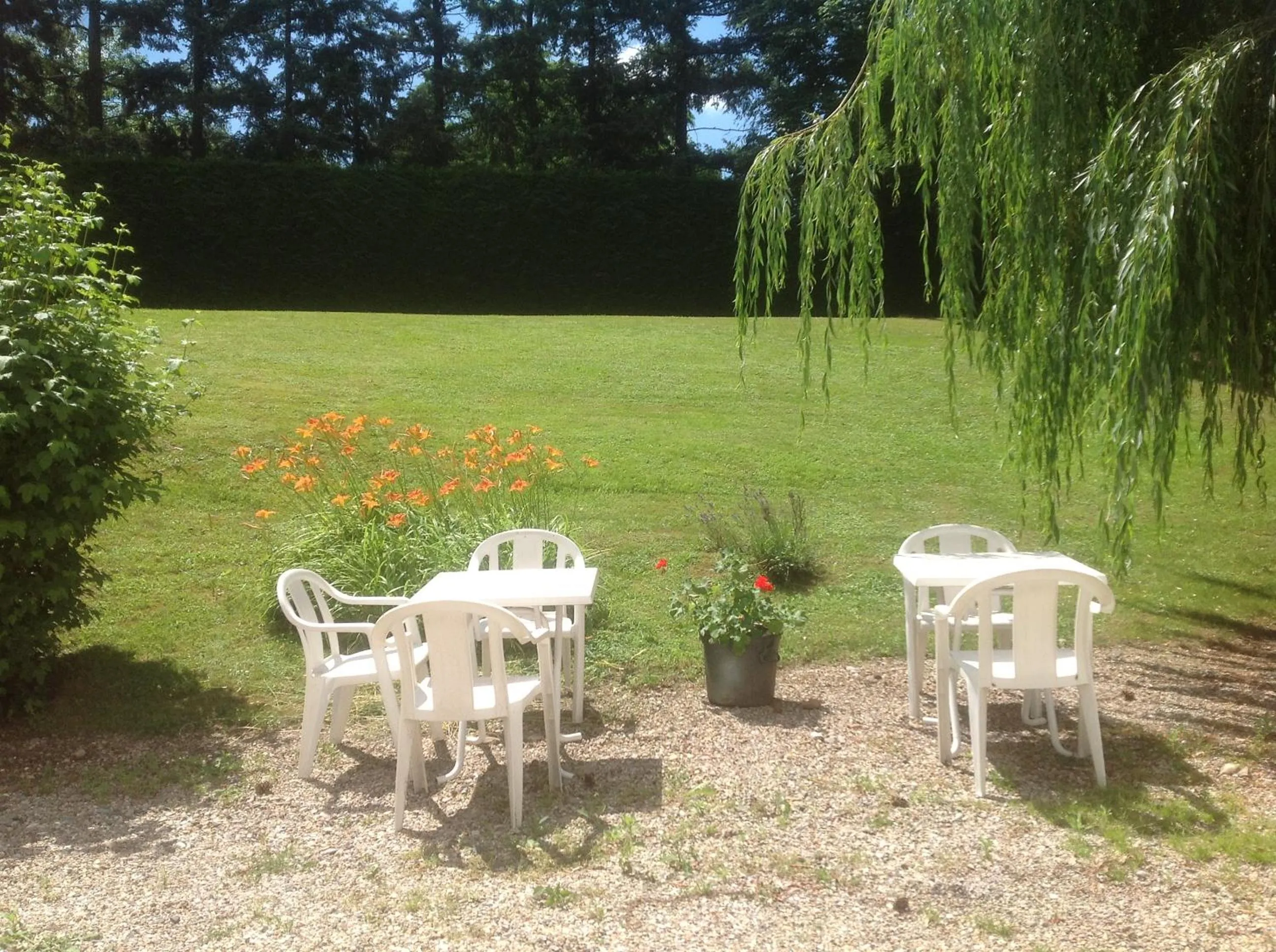 Garden in Hôtel Vulcain