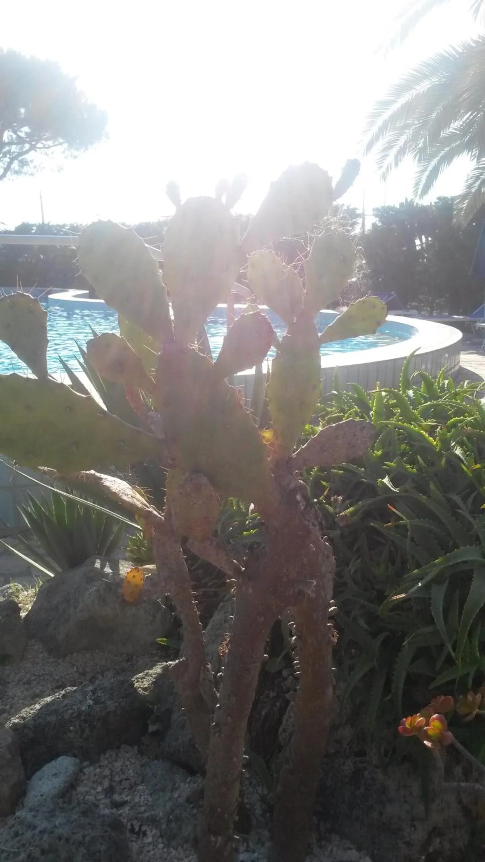 Day in Hotel Costa Citara