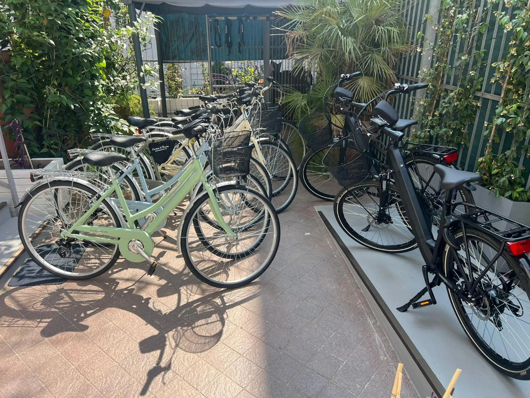 Day in Bella Pescara B&B