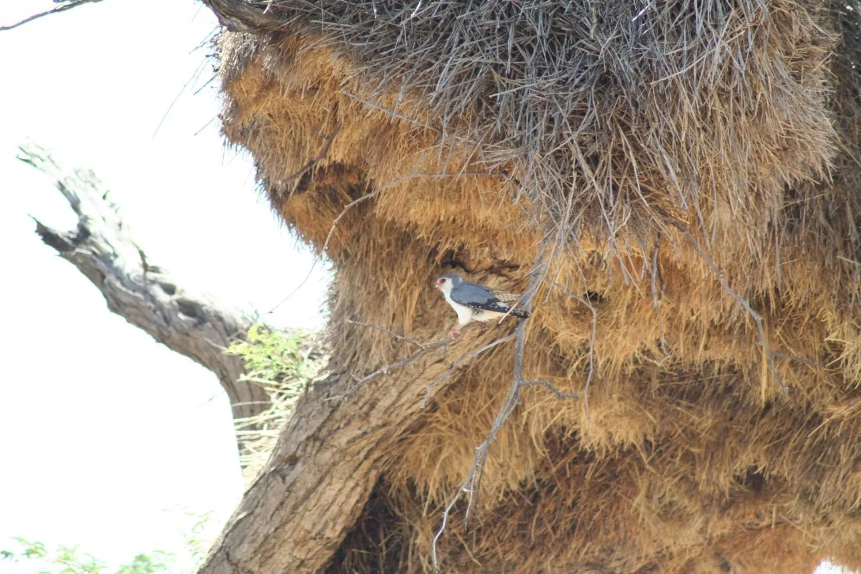 Etango Ranch Guest Farm