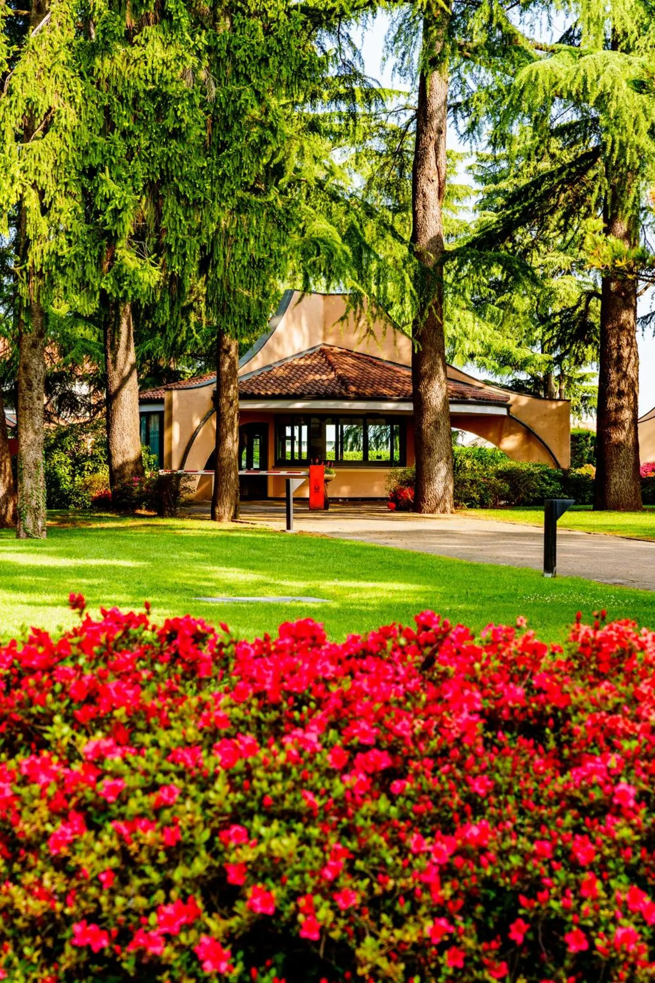 Property building in Hotel Pineta