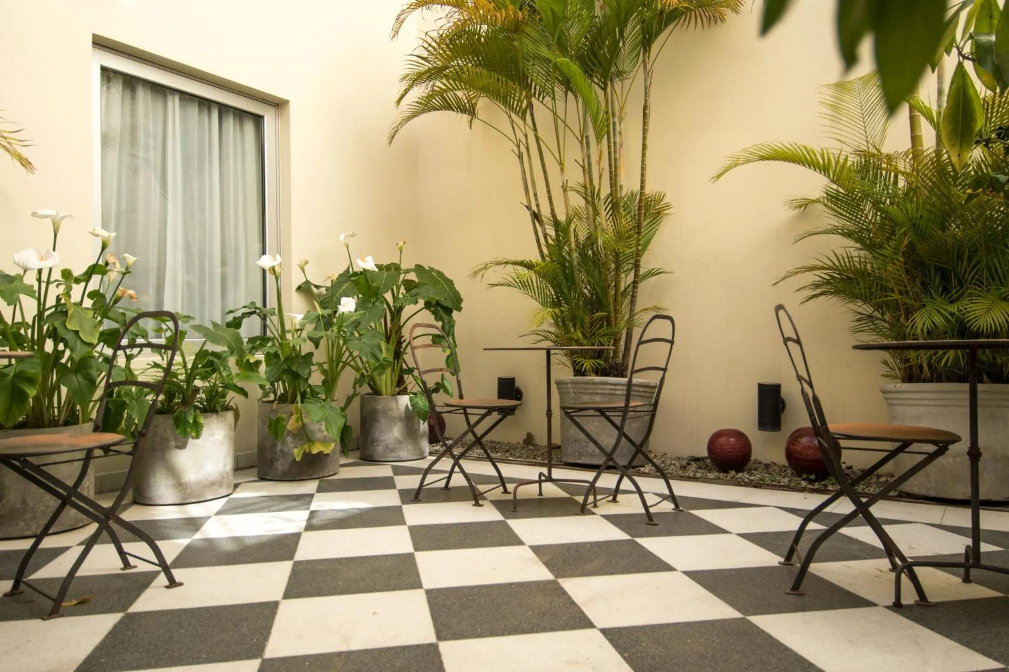 Patio in Magnolia Hotel Boutique