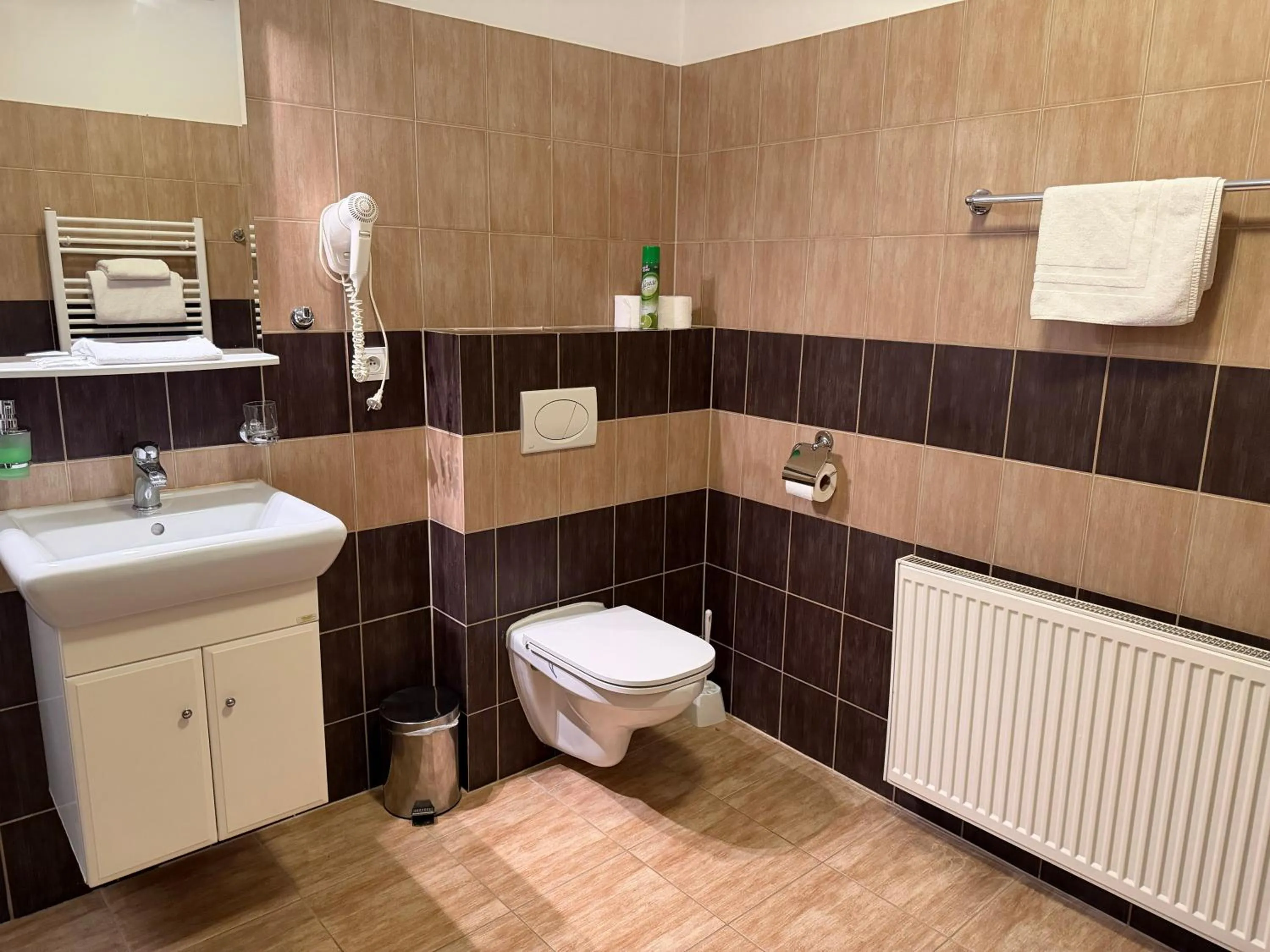 Toilet in Hotel Palác