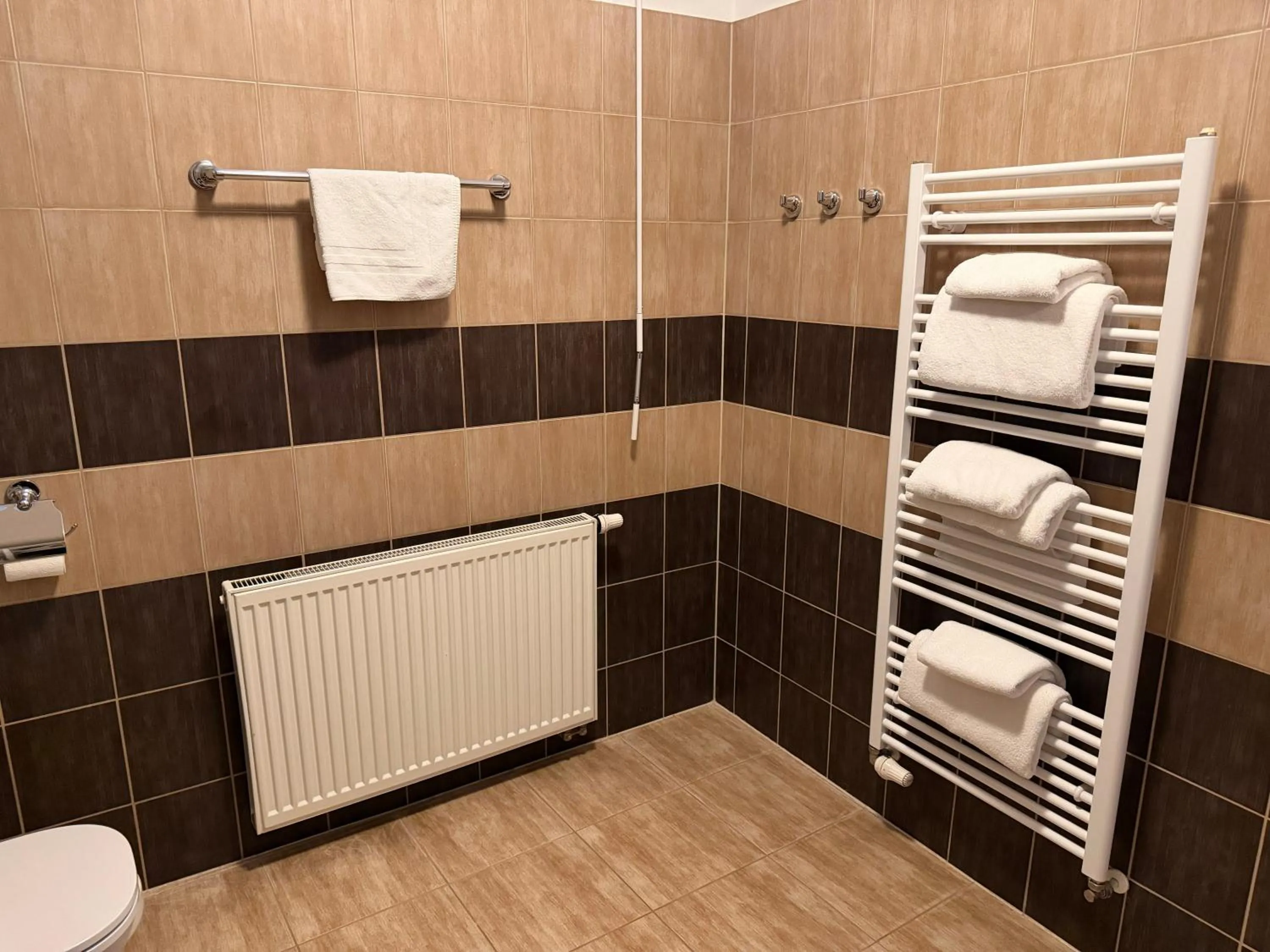 Bathroom in Hotel Palác