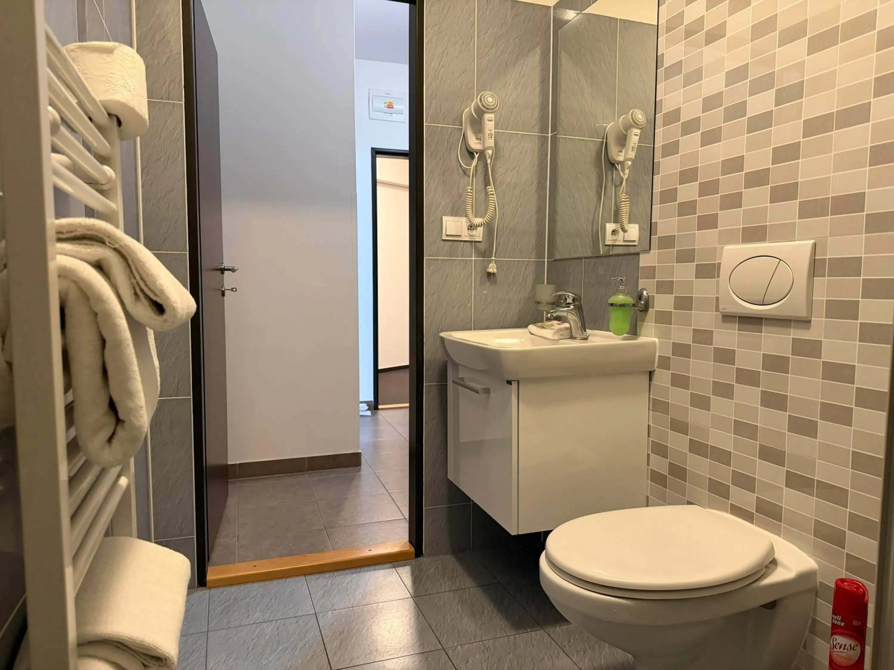 Toilet in Hotel Palác