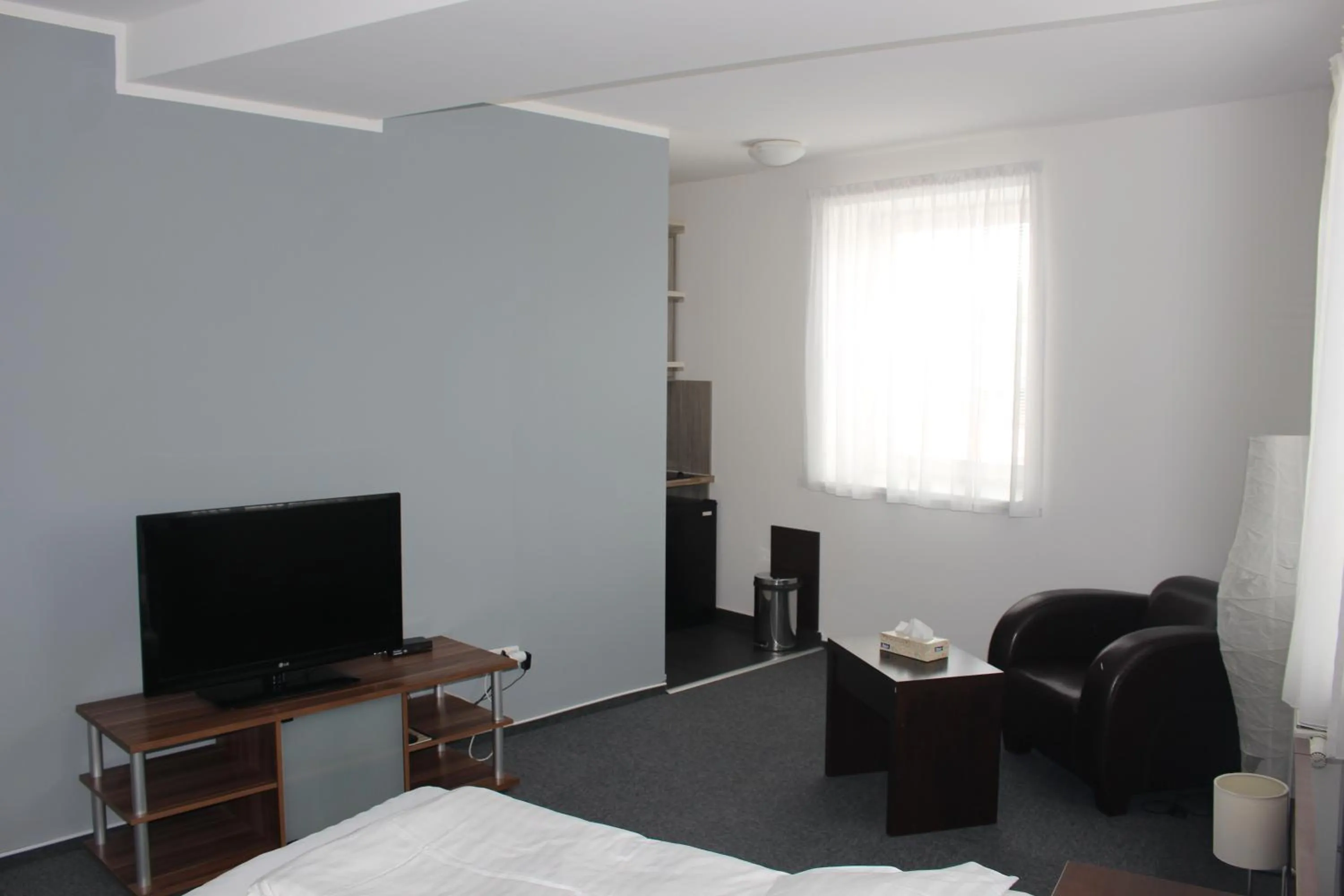 TV and multimedia, Bed in Hotel Palác