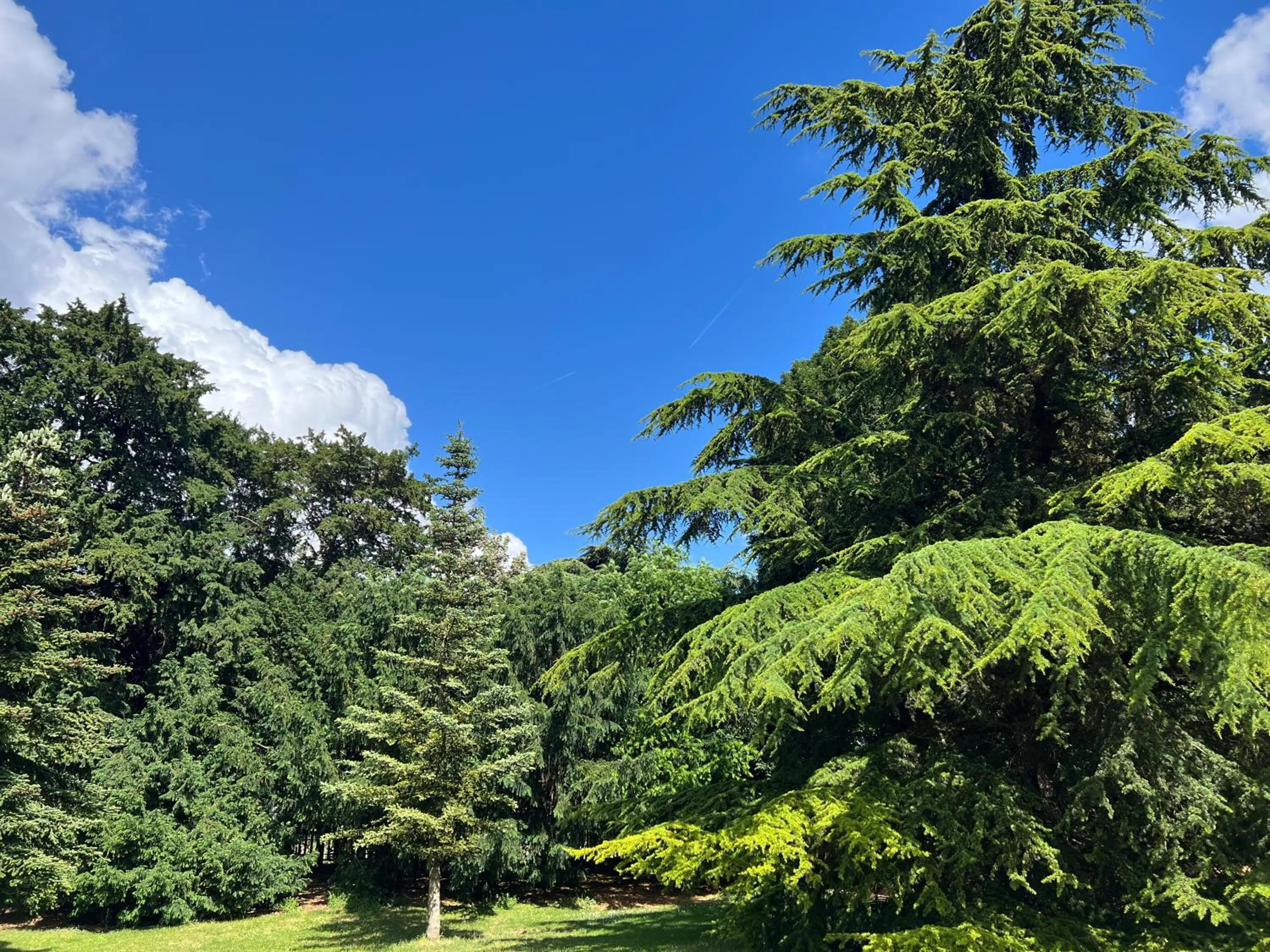 Off site in Maison Lavaud