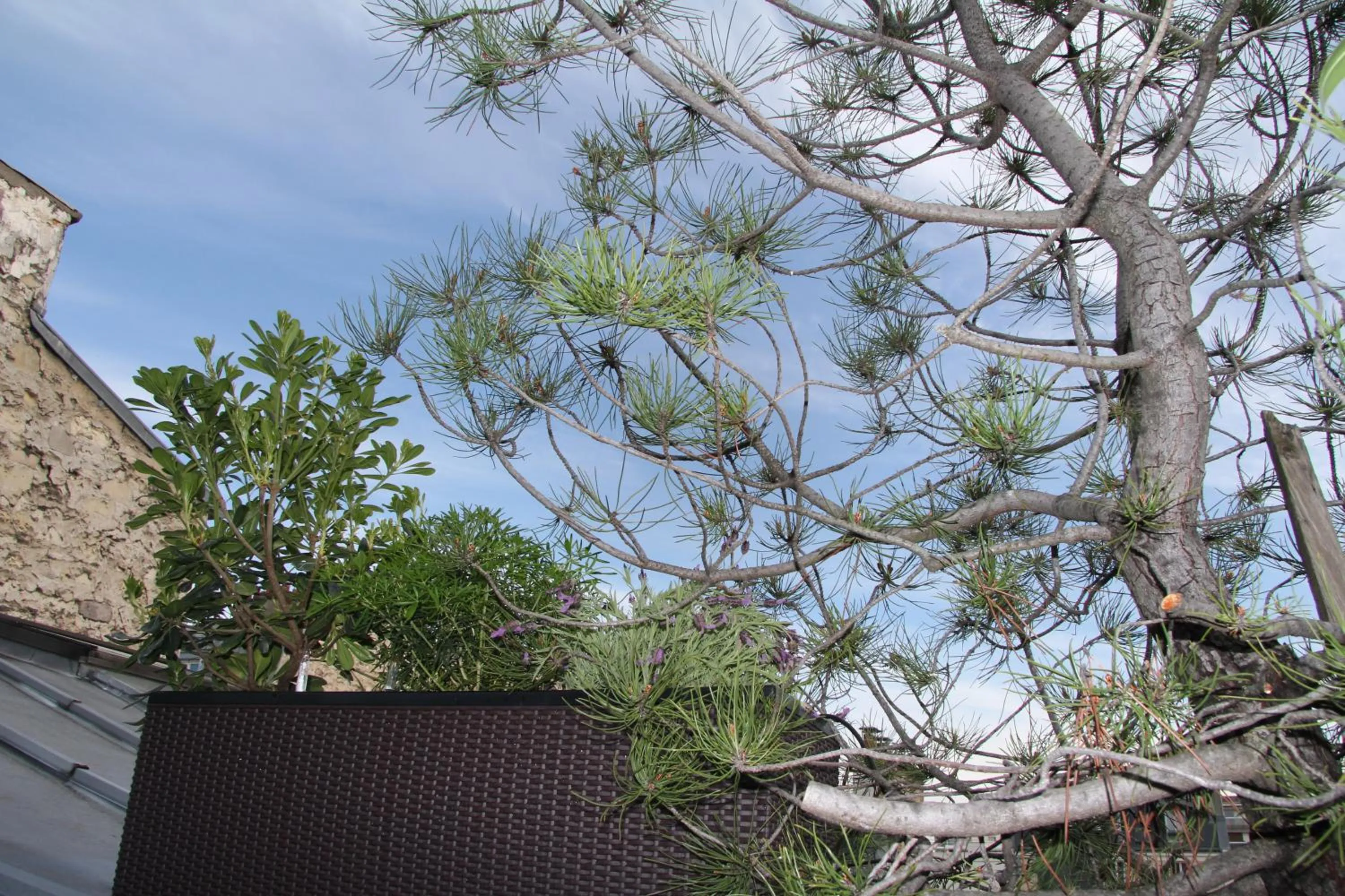 Spring in Maison Lavaud