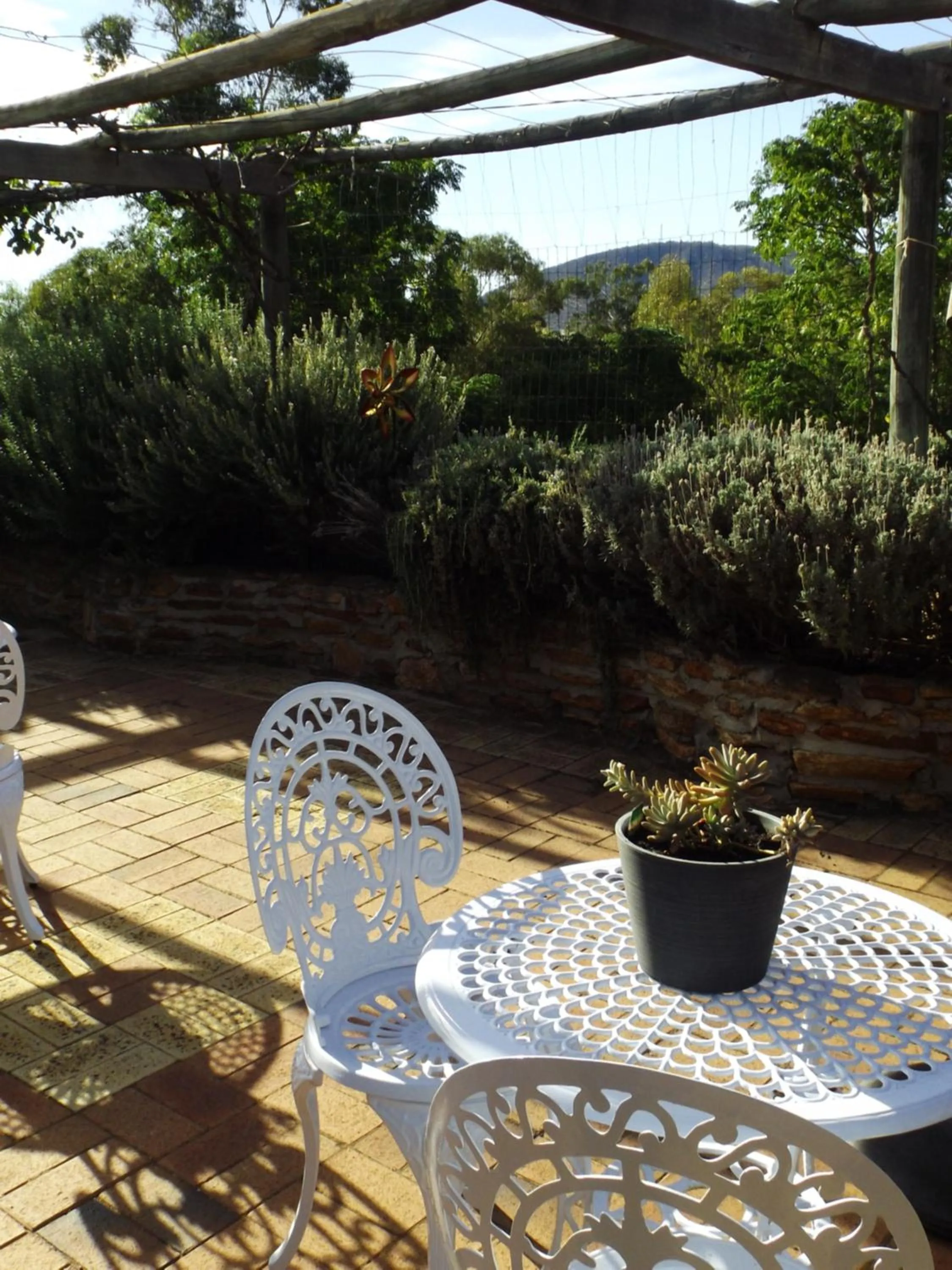 Patio in York's Lookout Lodge Bed And Breakfast