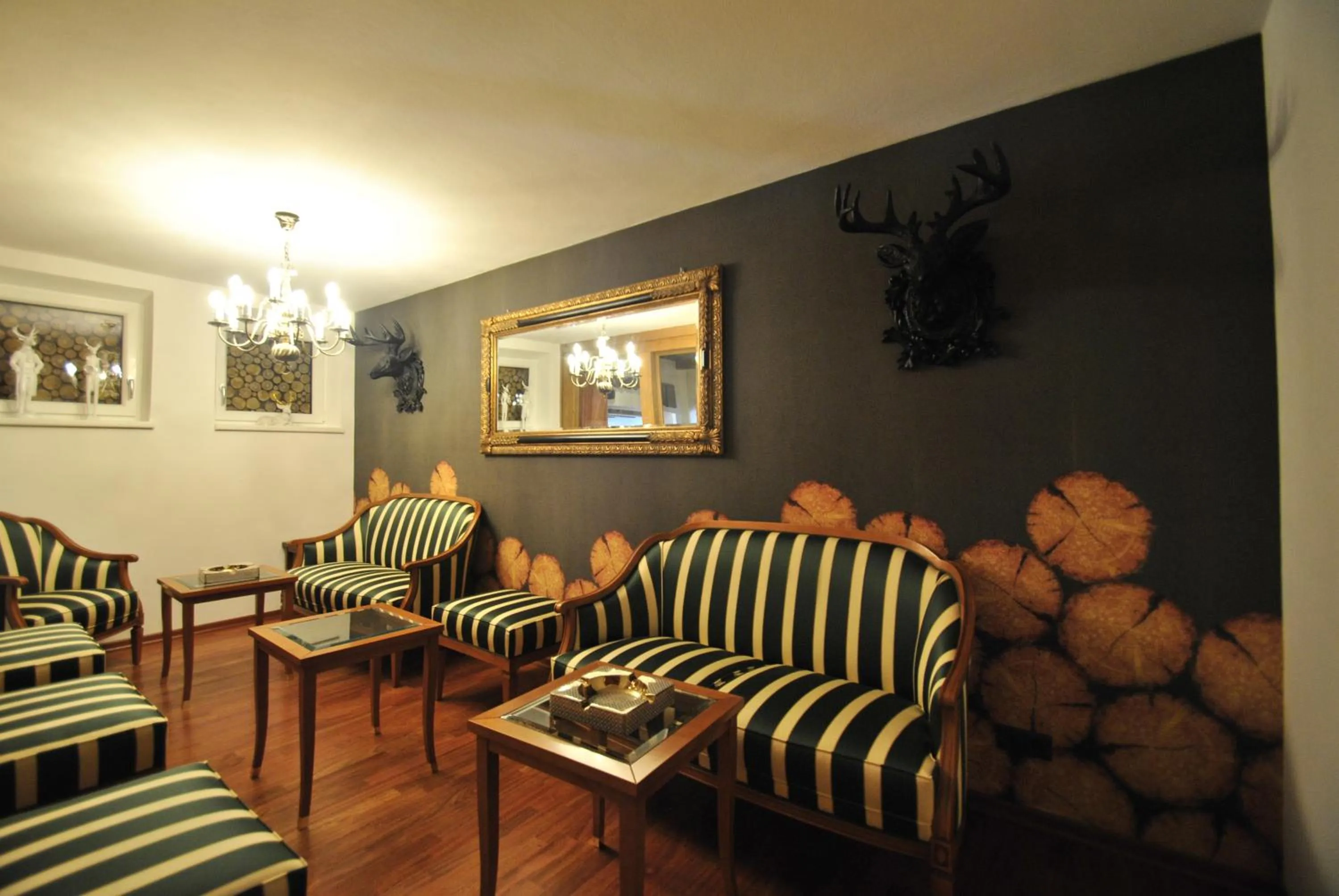 Lounge or bar in Hotel Albona Nova