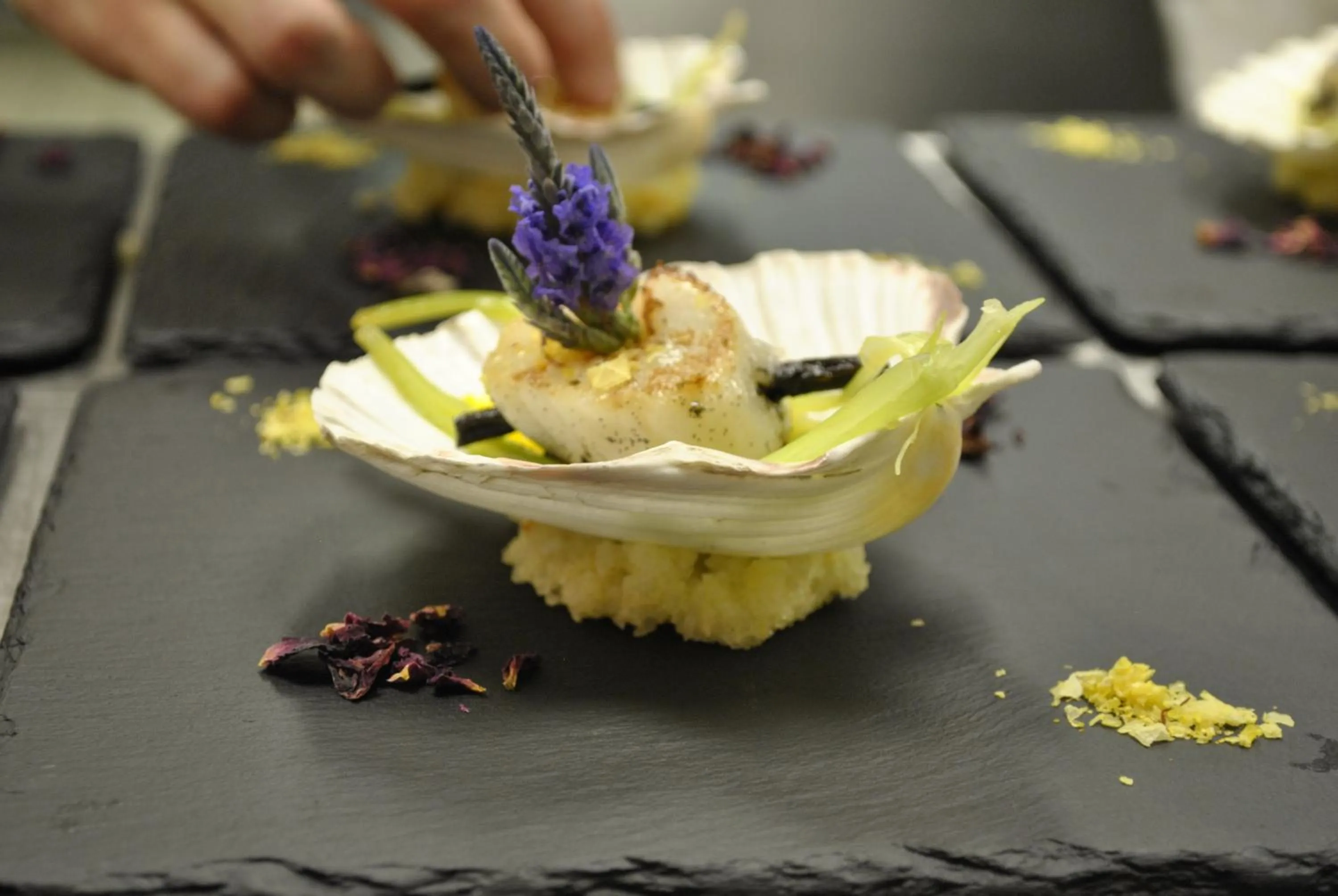 Food in Hotel Albona Nova