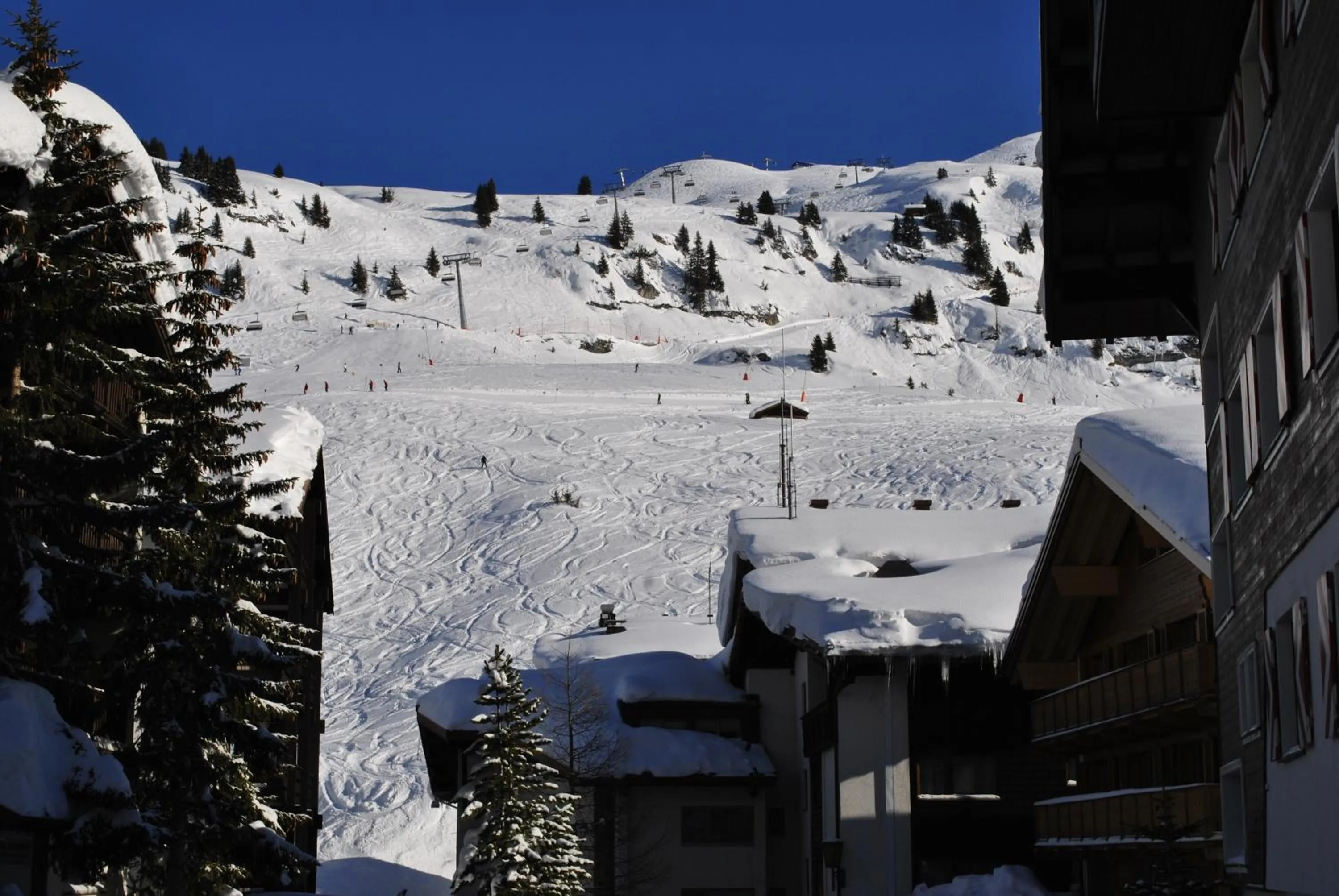 Area and facilities in Hotel Albona Nova