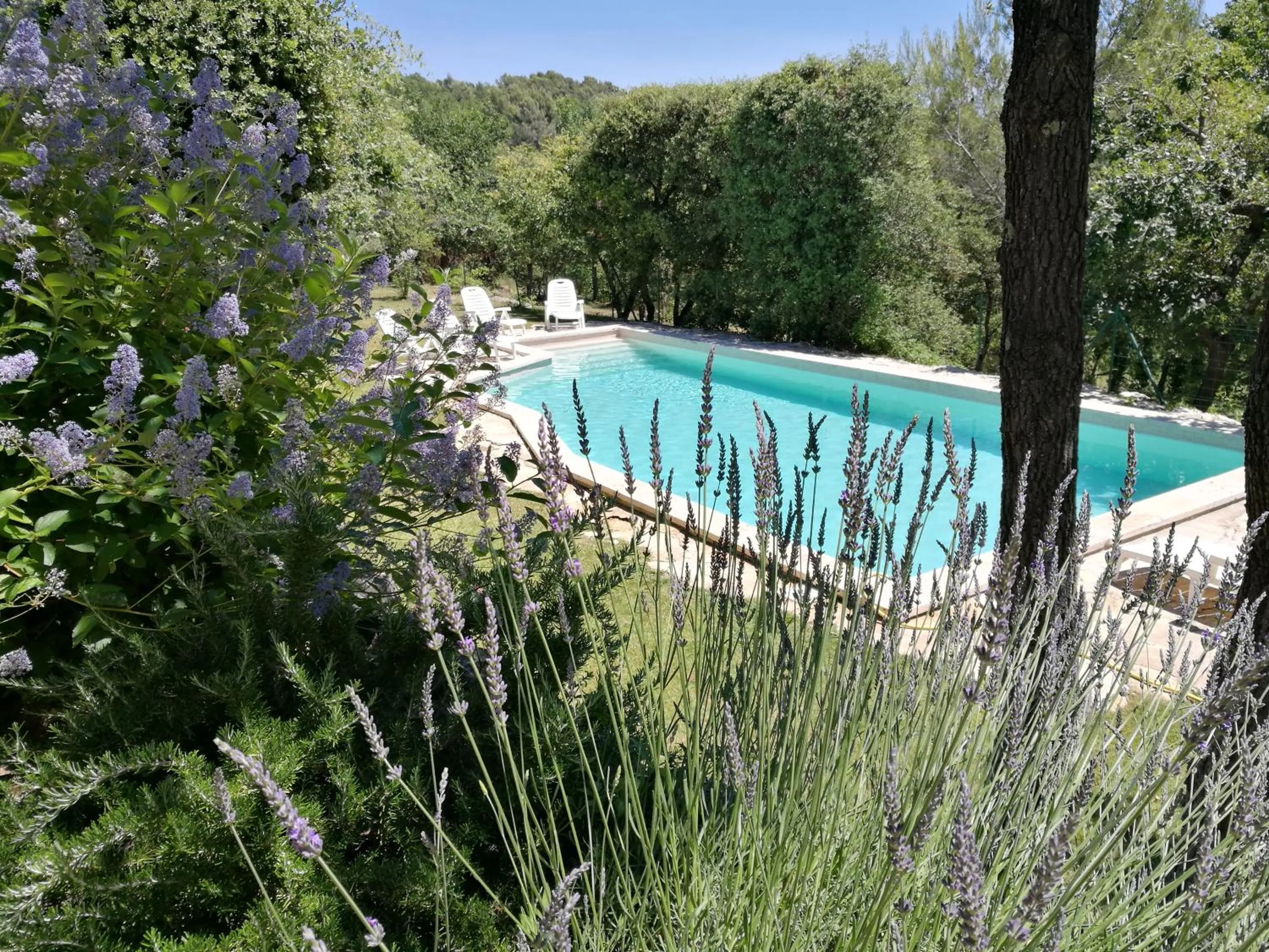 Swimming pool in Les Restanques