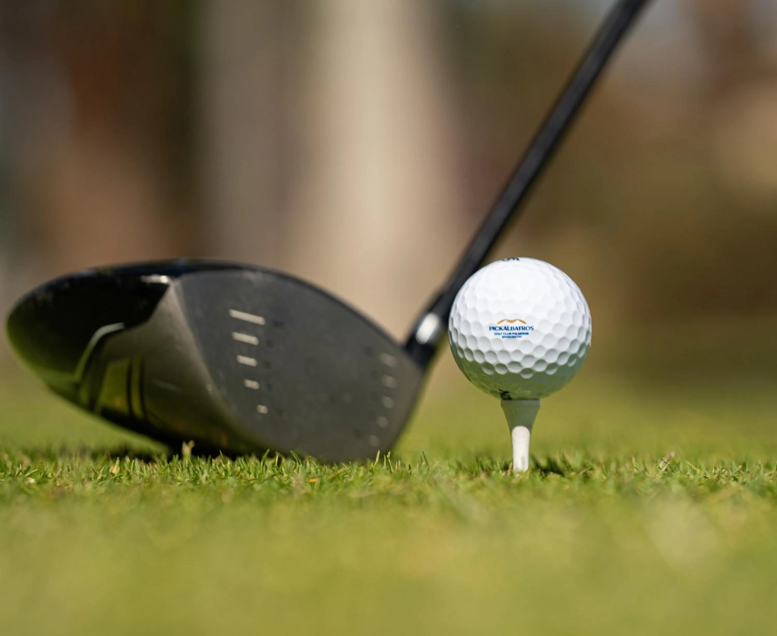 Golfcourse in Pickalbatros Hôtel Du Golf - Adults Friendly 16 Years Plus- All-Inclusive