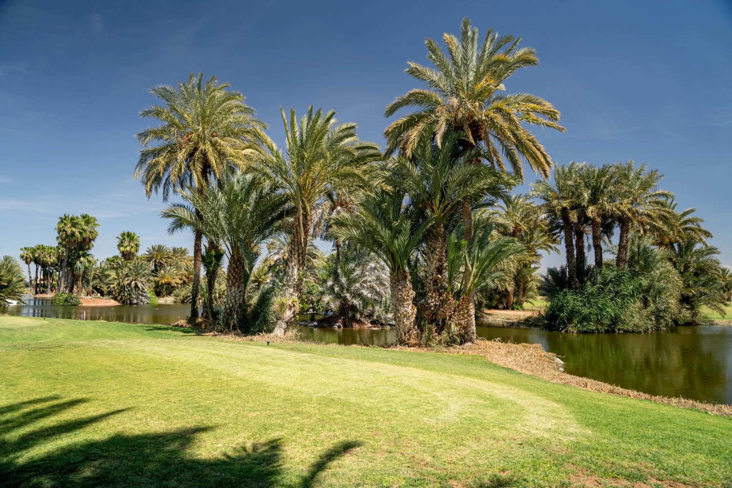 Garden in Pickalbatros Hôtel Du Golf - Adults Friendly 16 Years Plus- All-Inclusive