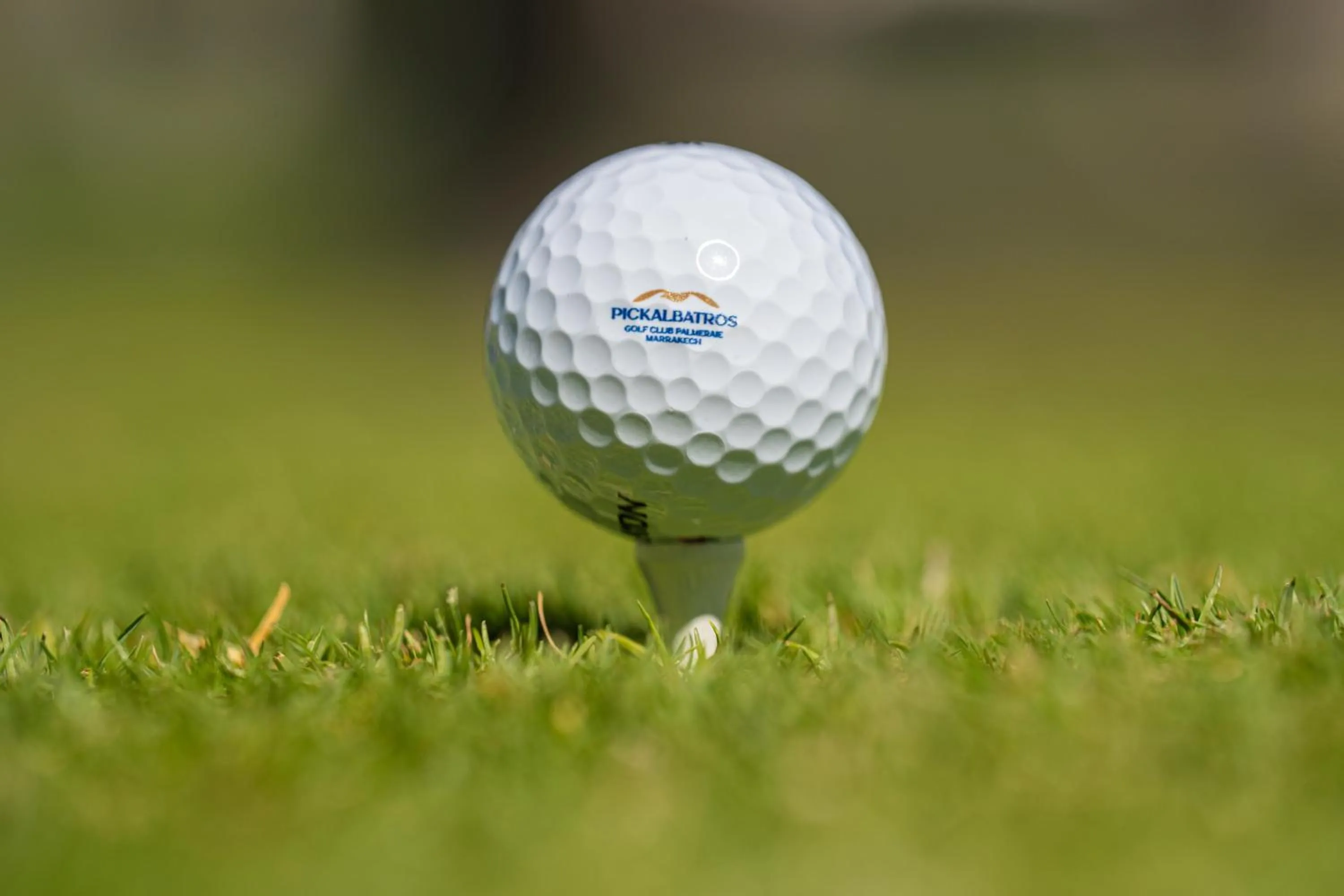 Golfcourse in Pickalbatros Hôtel Du Golf - Adults Friendly 16 Years Plus- All-Inclusive