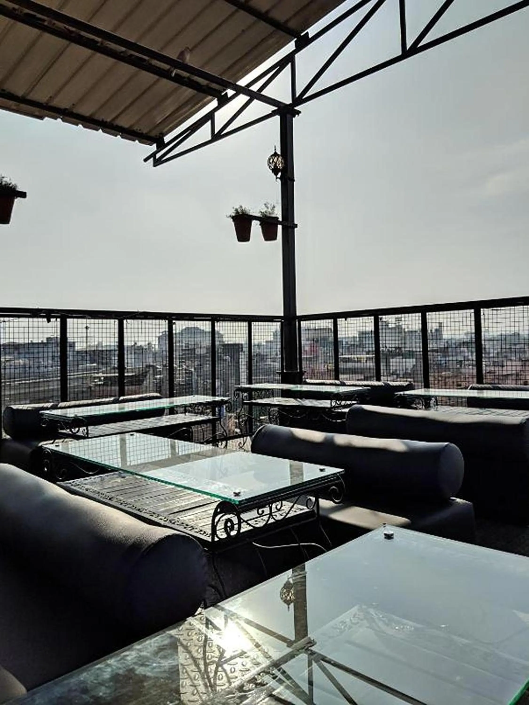 Restaurant/places to eat in Gypsy Monkey