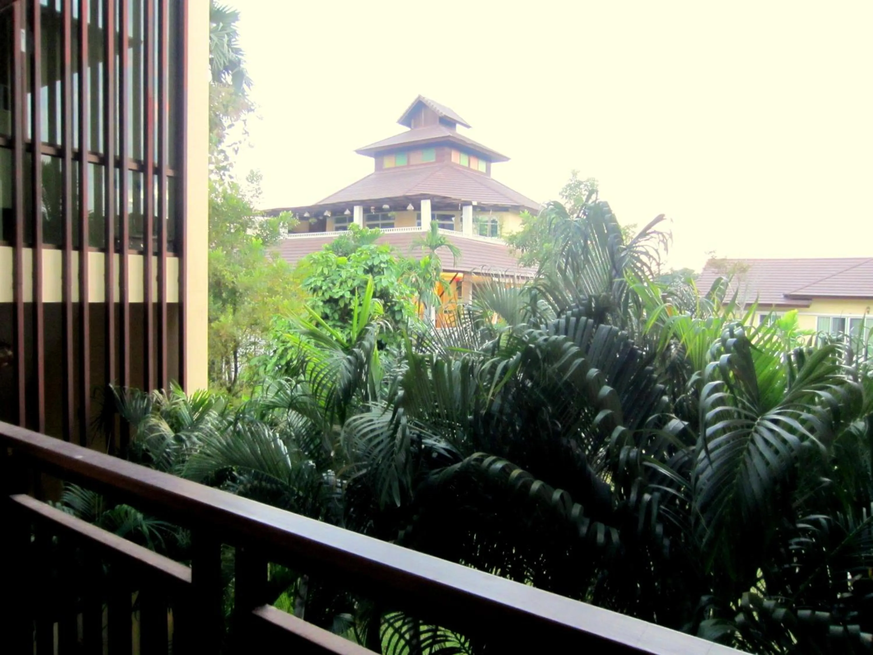 Day in Mountain Creek Wellness Resort Chiangmai