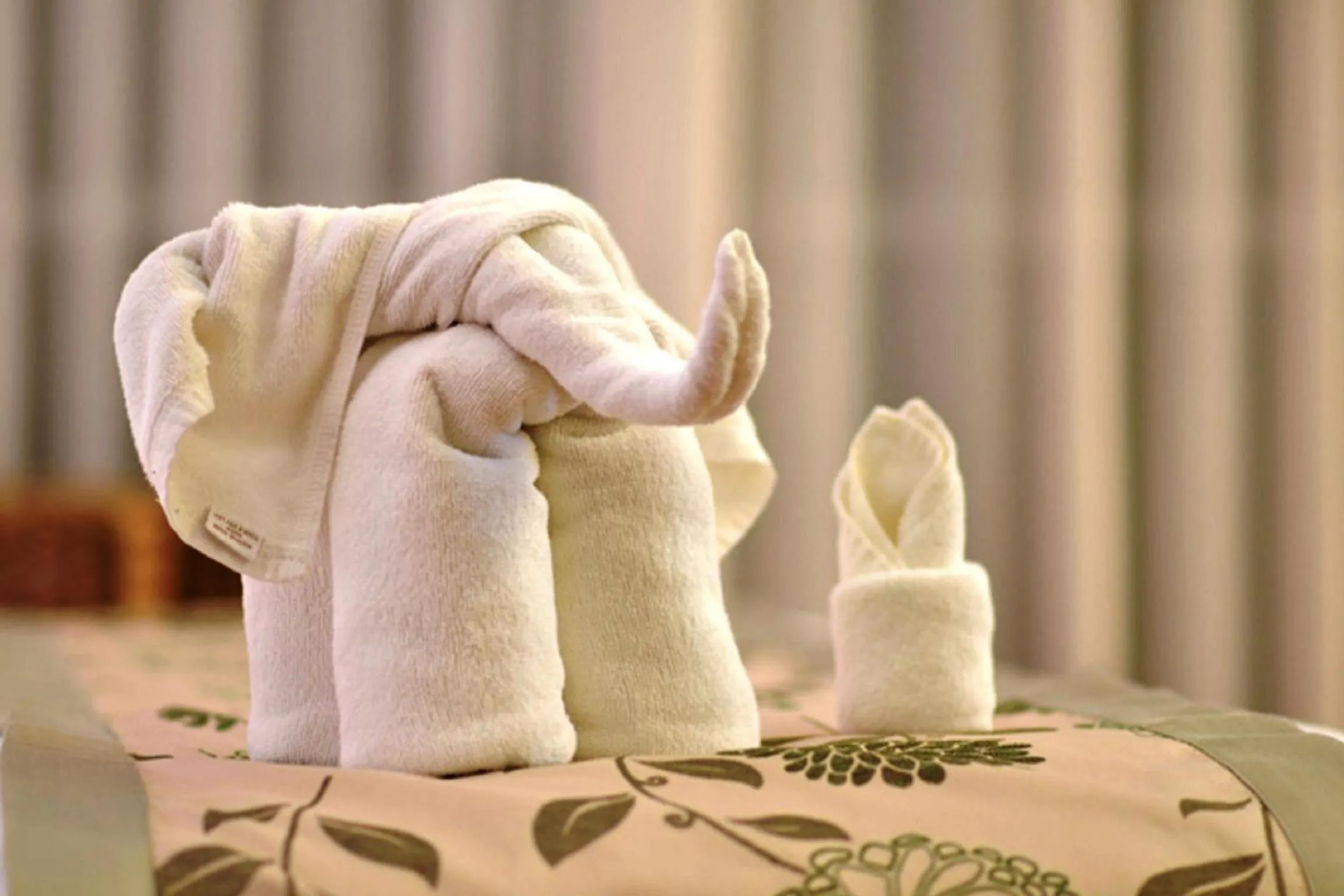 Other in Mountain Creek Wellness Resort Chiangmai