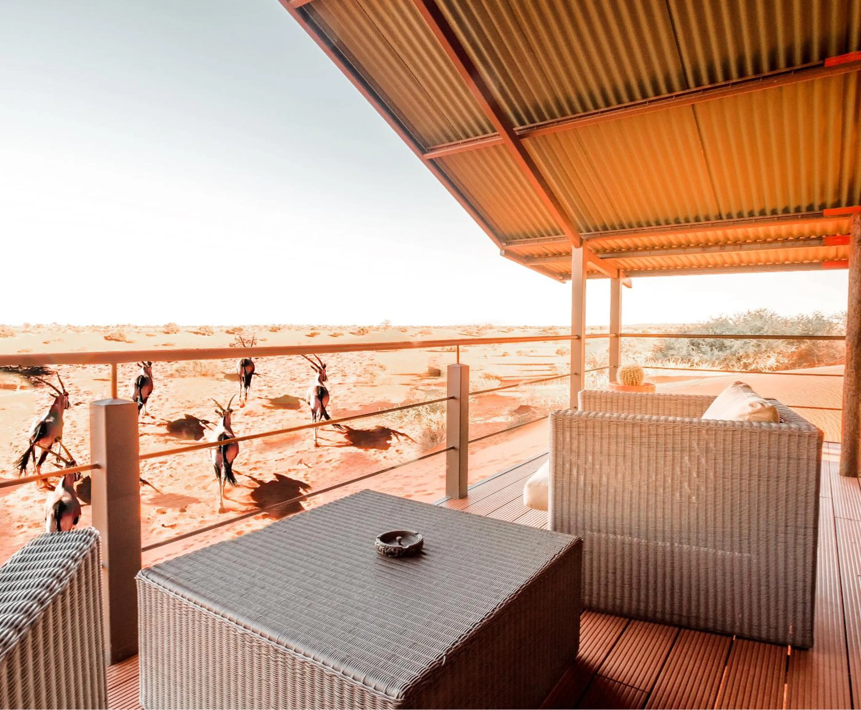 Bagatelle Kalahari Game Ranch