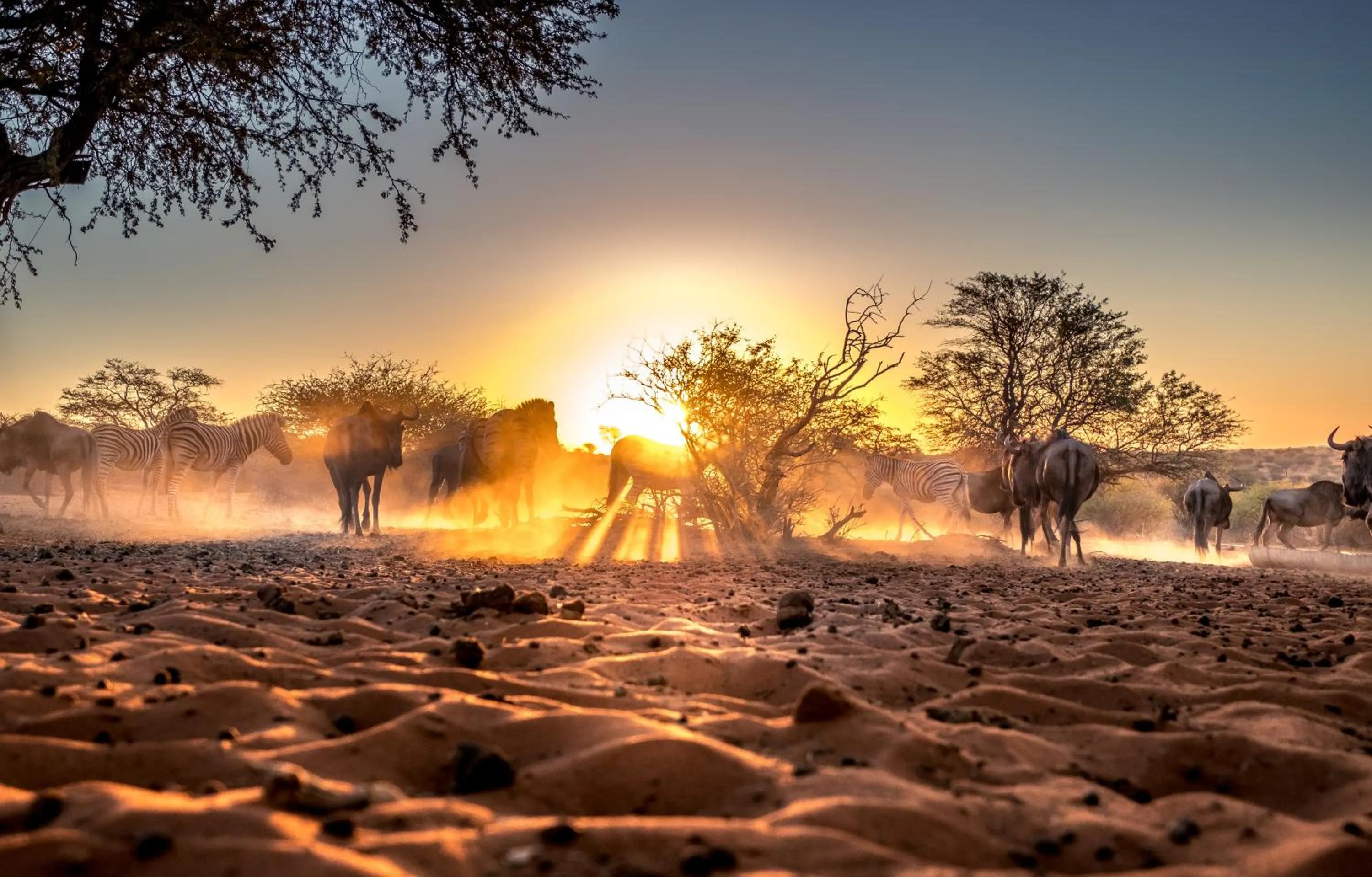 Bagatelle Kalahari Game Ranch