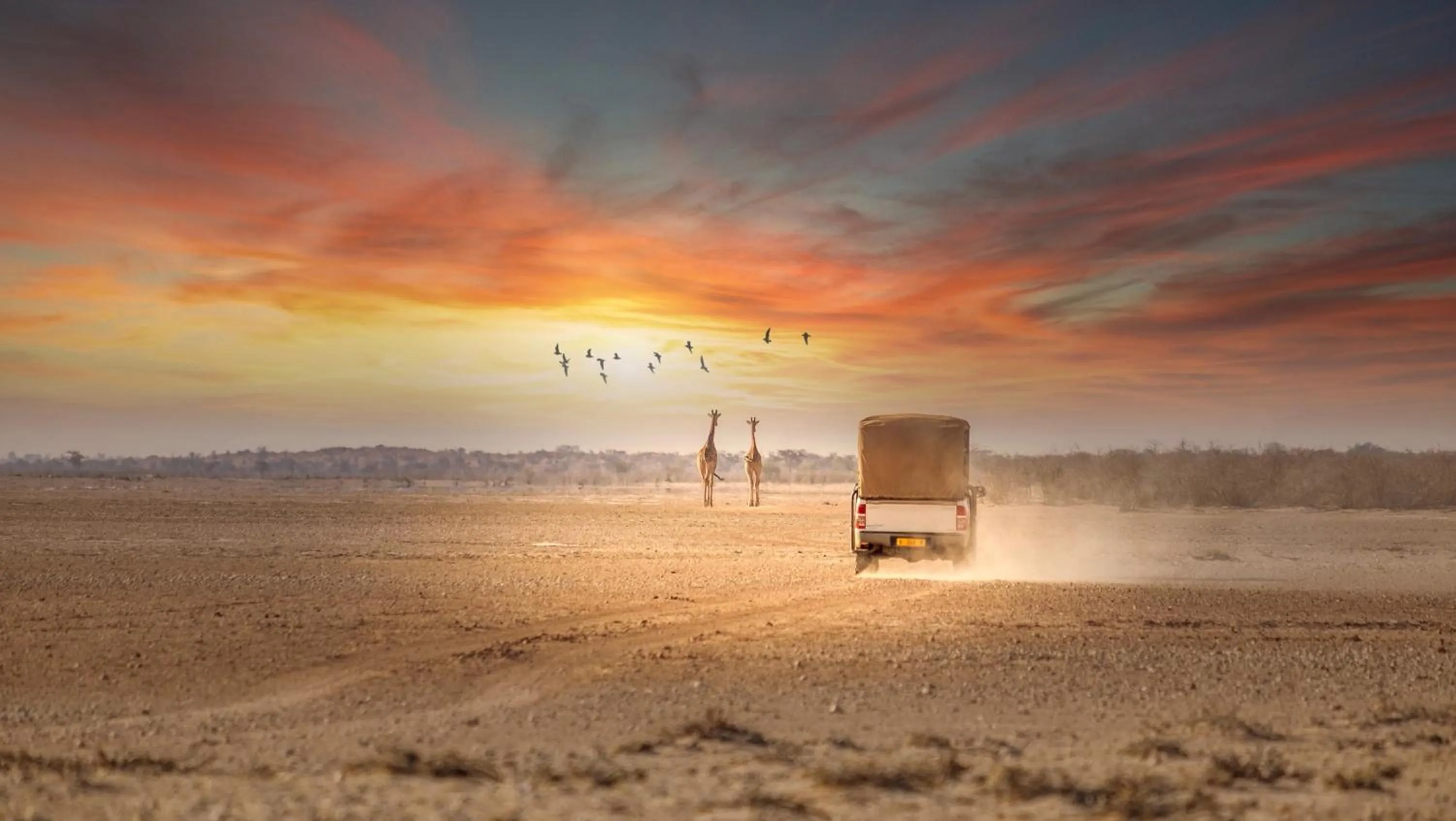 Natural landscape in Bagatelle Kalahari Game Ranch
