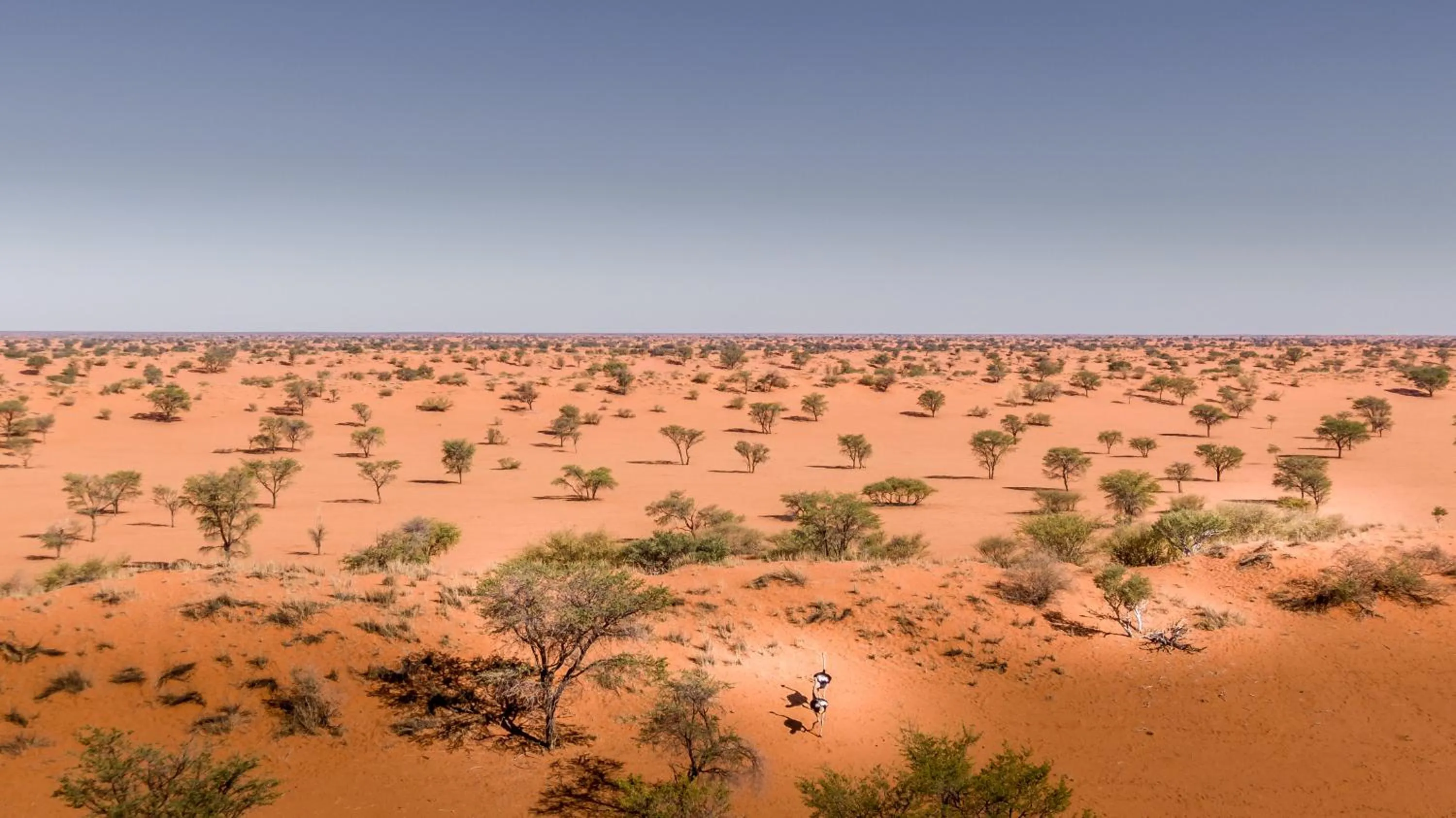 Bagatelle Kalahari Game Ranch