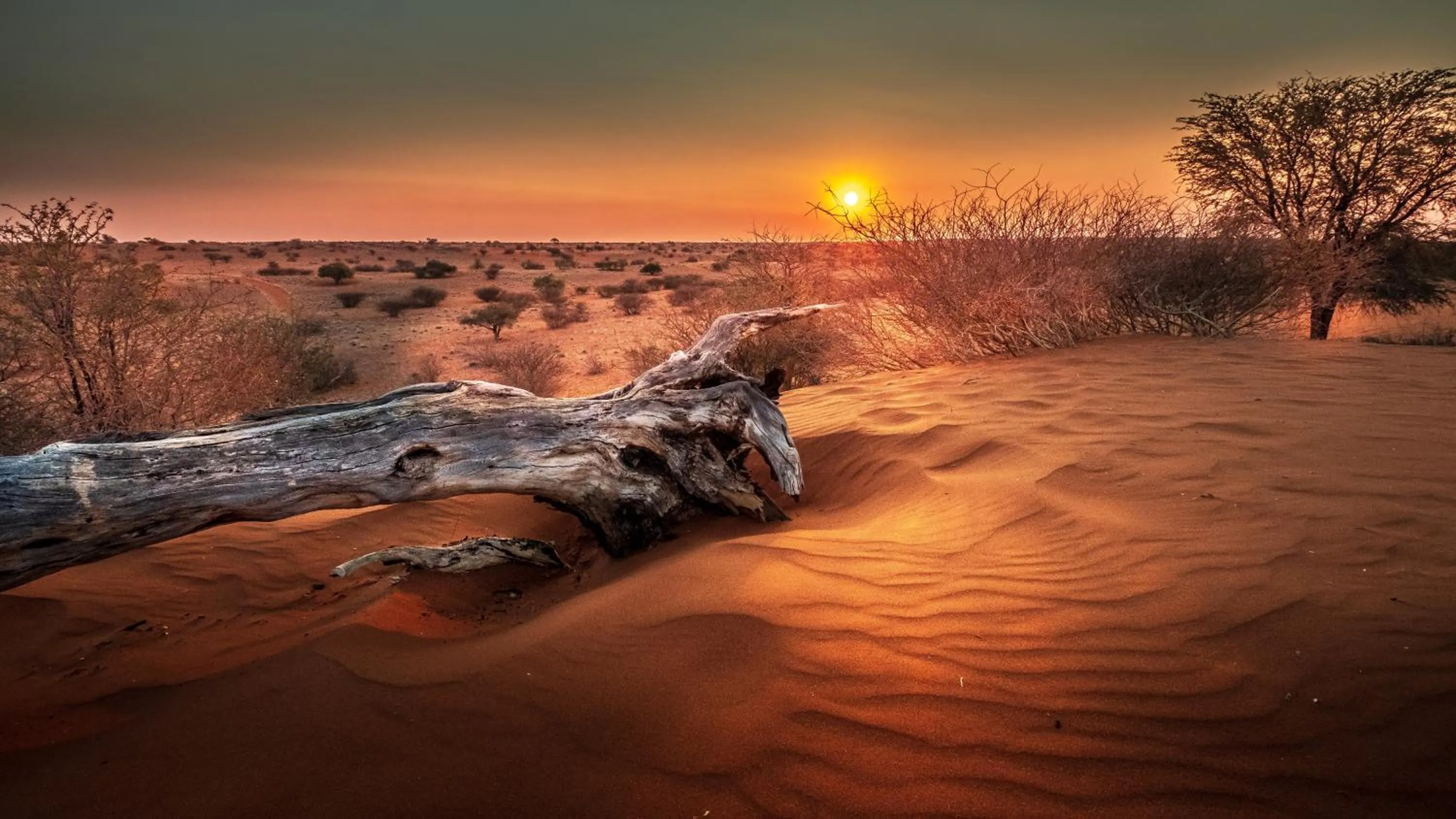 Natural landscape in Bagatelle Kalahari Game Ranch