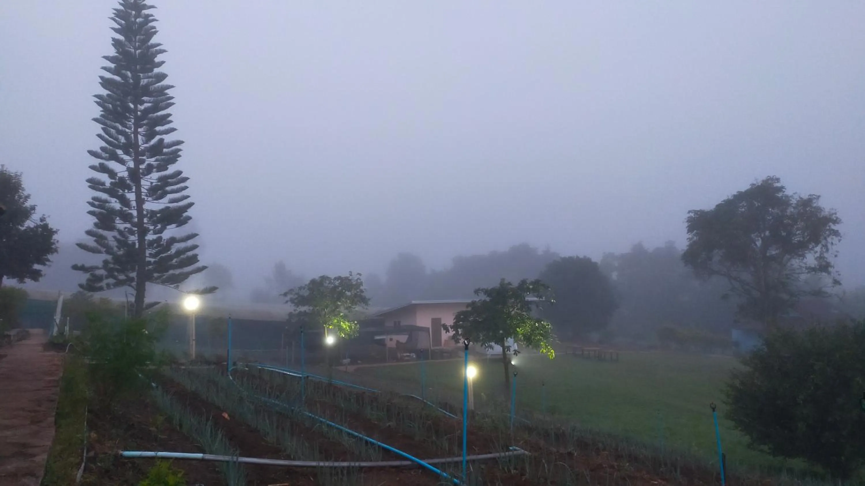 Garden view in Mong Homestay Resort