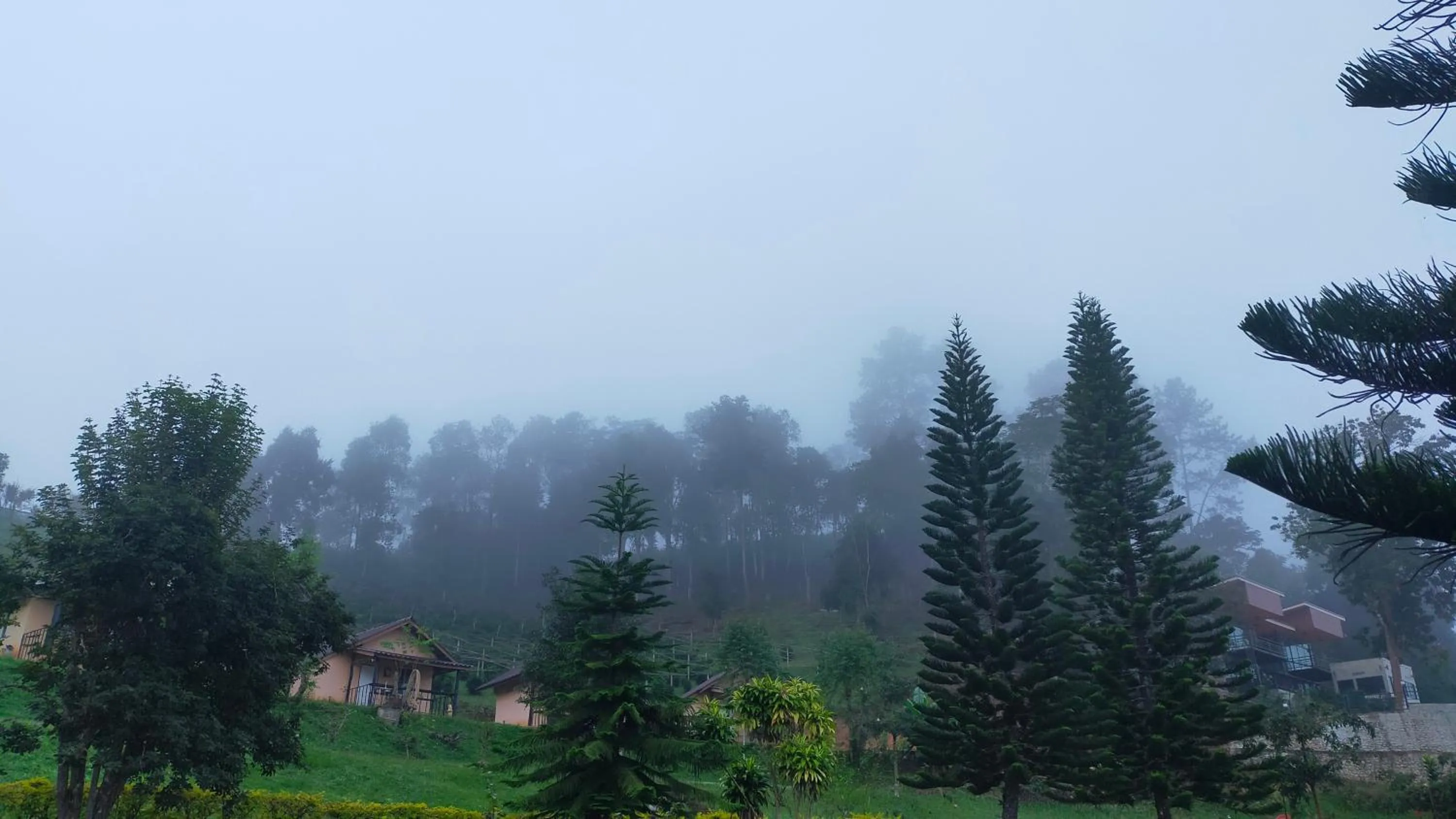 Mong Homestay Resort