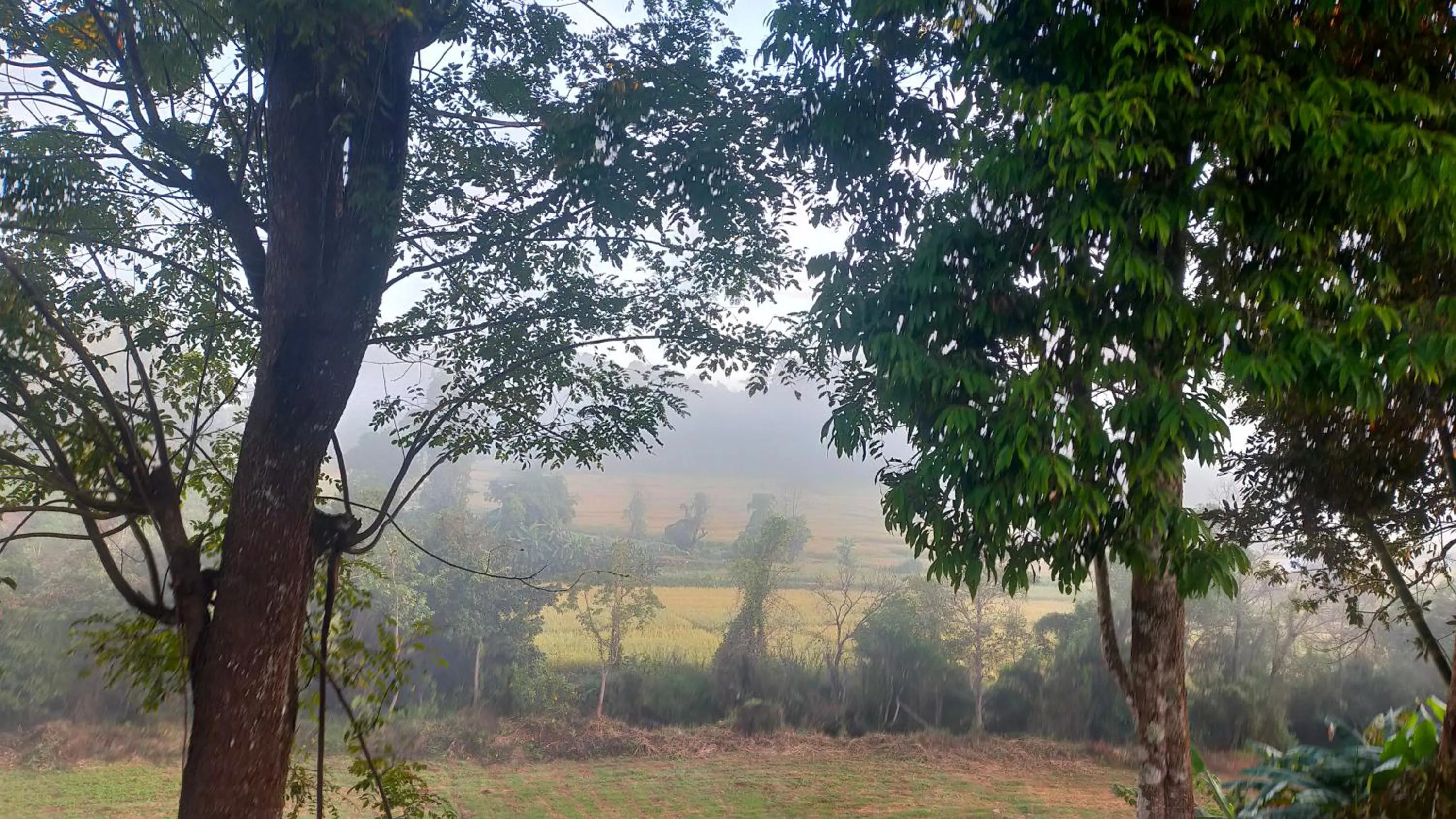 Natural landscape in Mong Homestay Resort