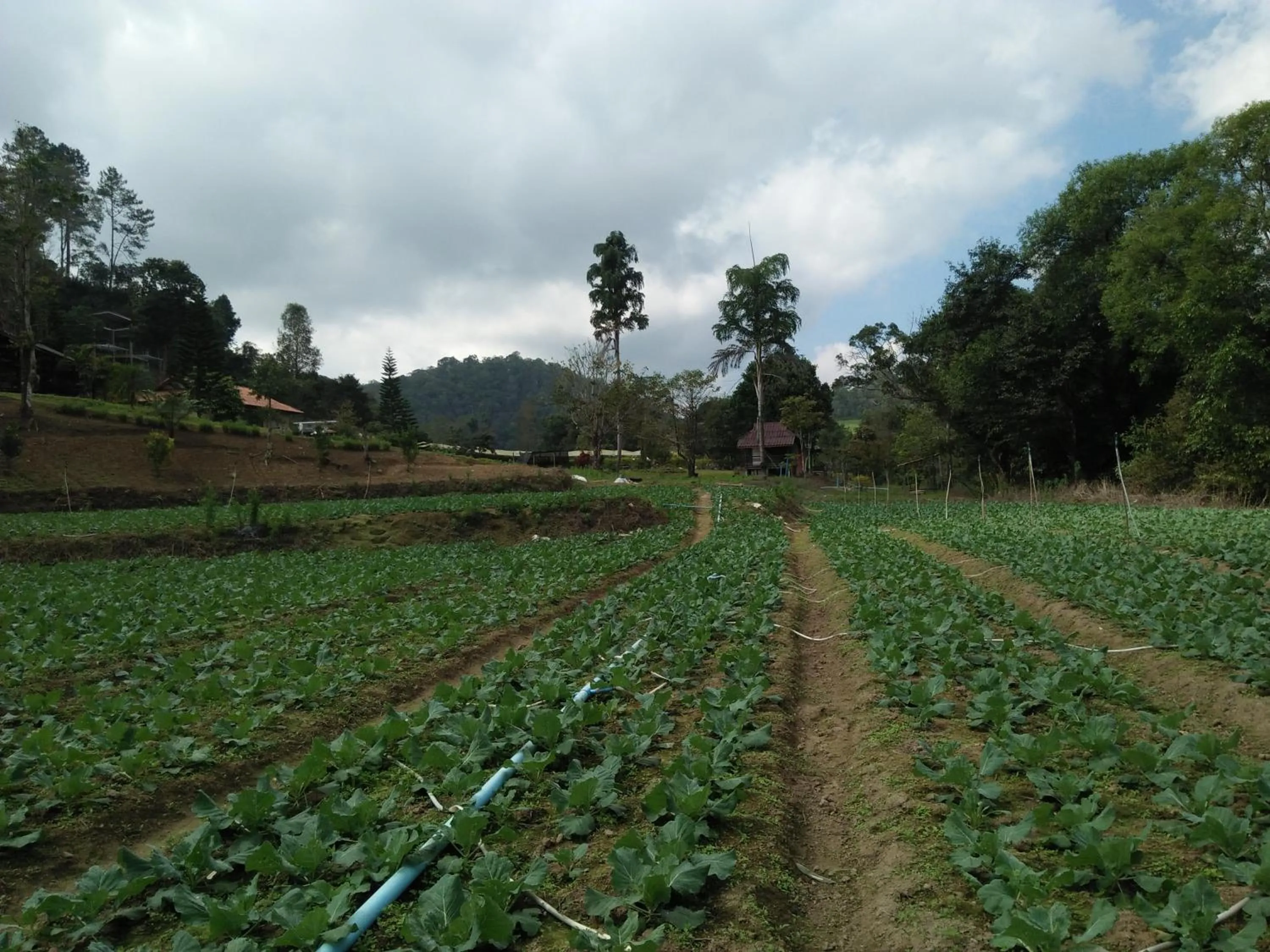 Mong Homestay Resort