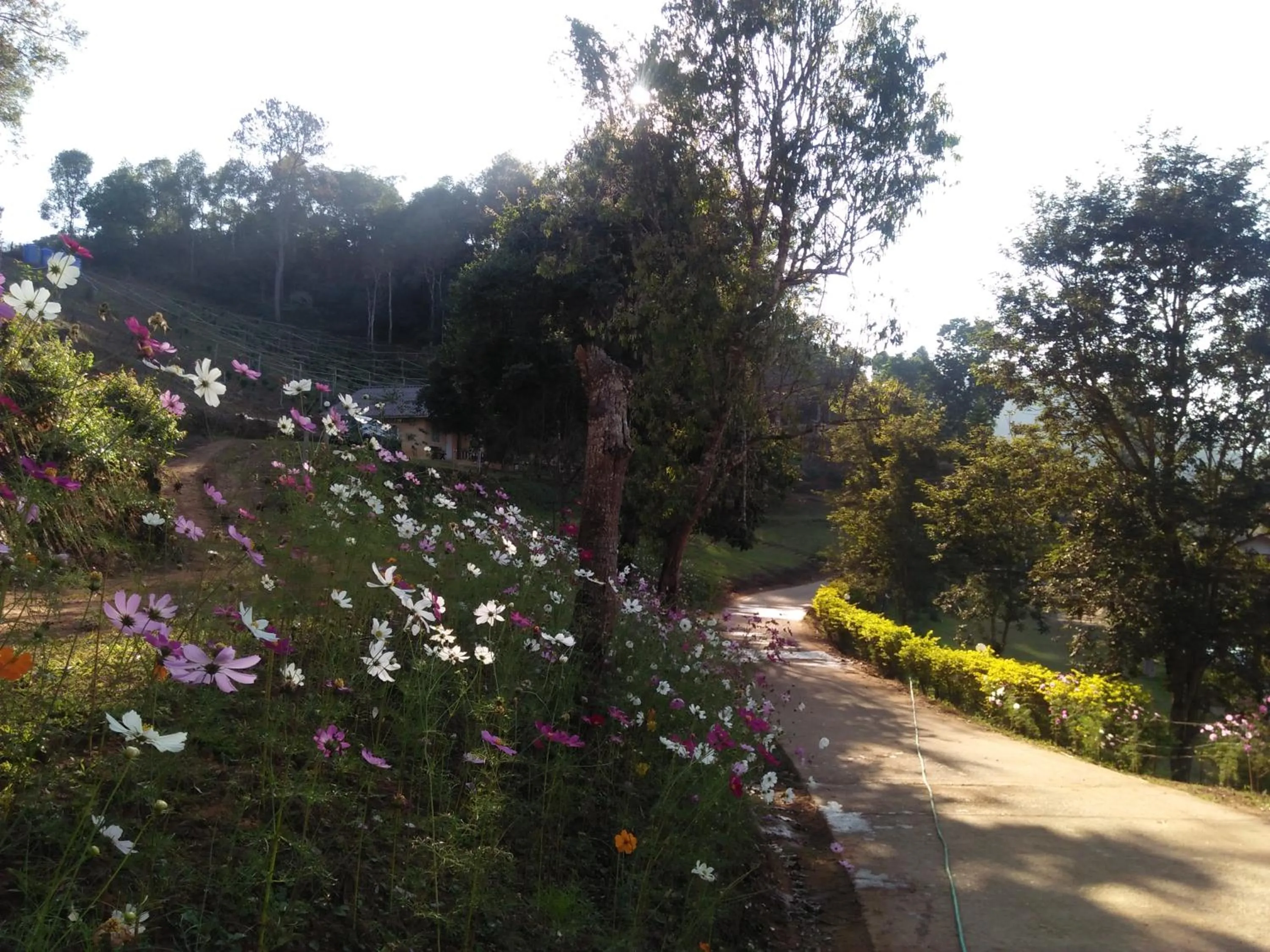 Mong Homestay Resort